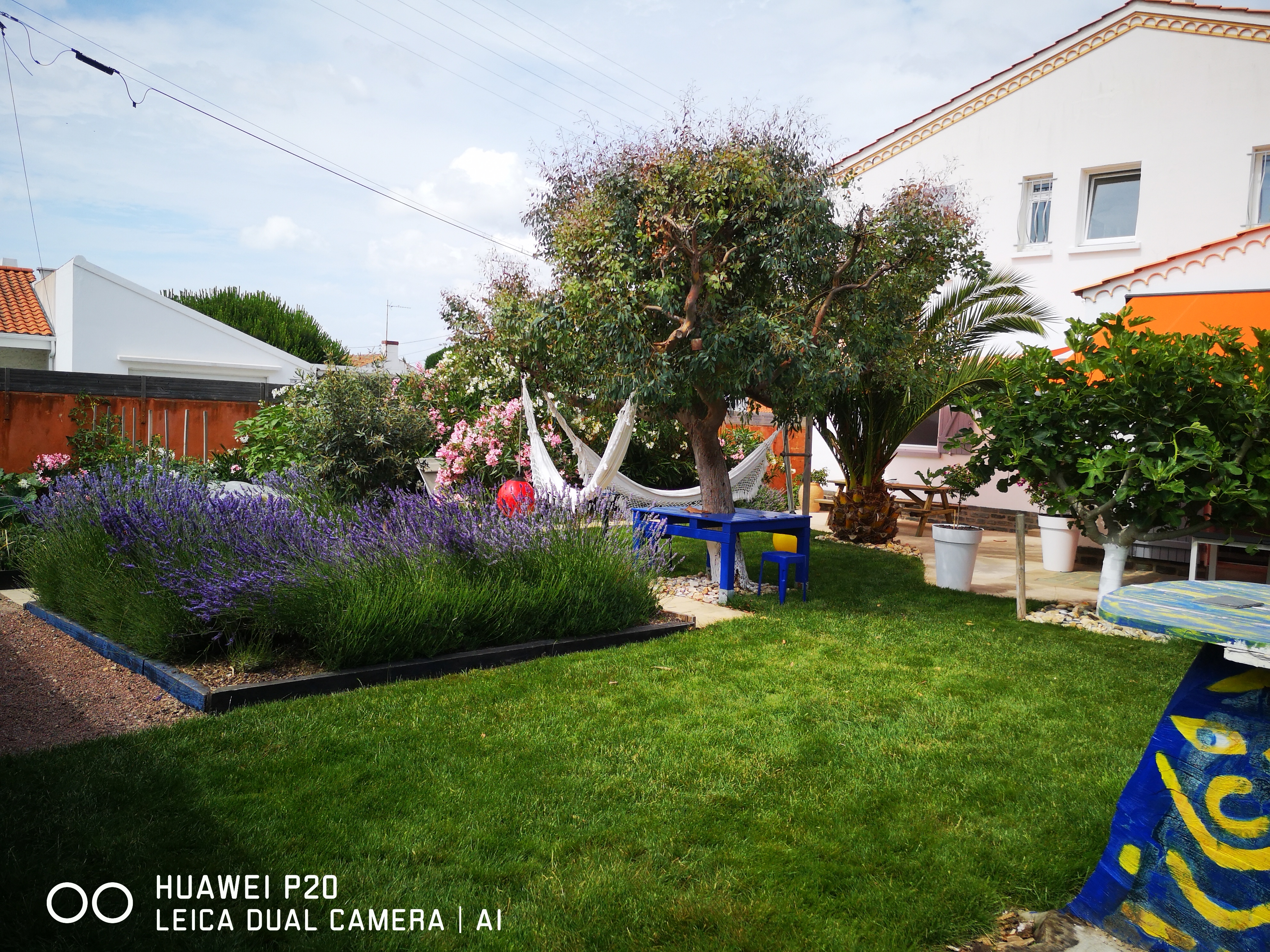 Homestay Suite Rental - Le Chat Bleu