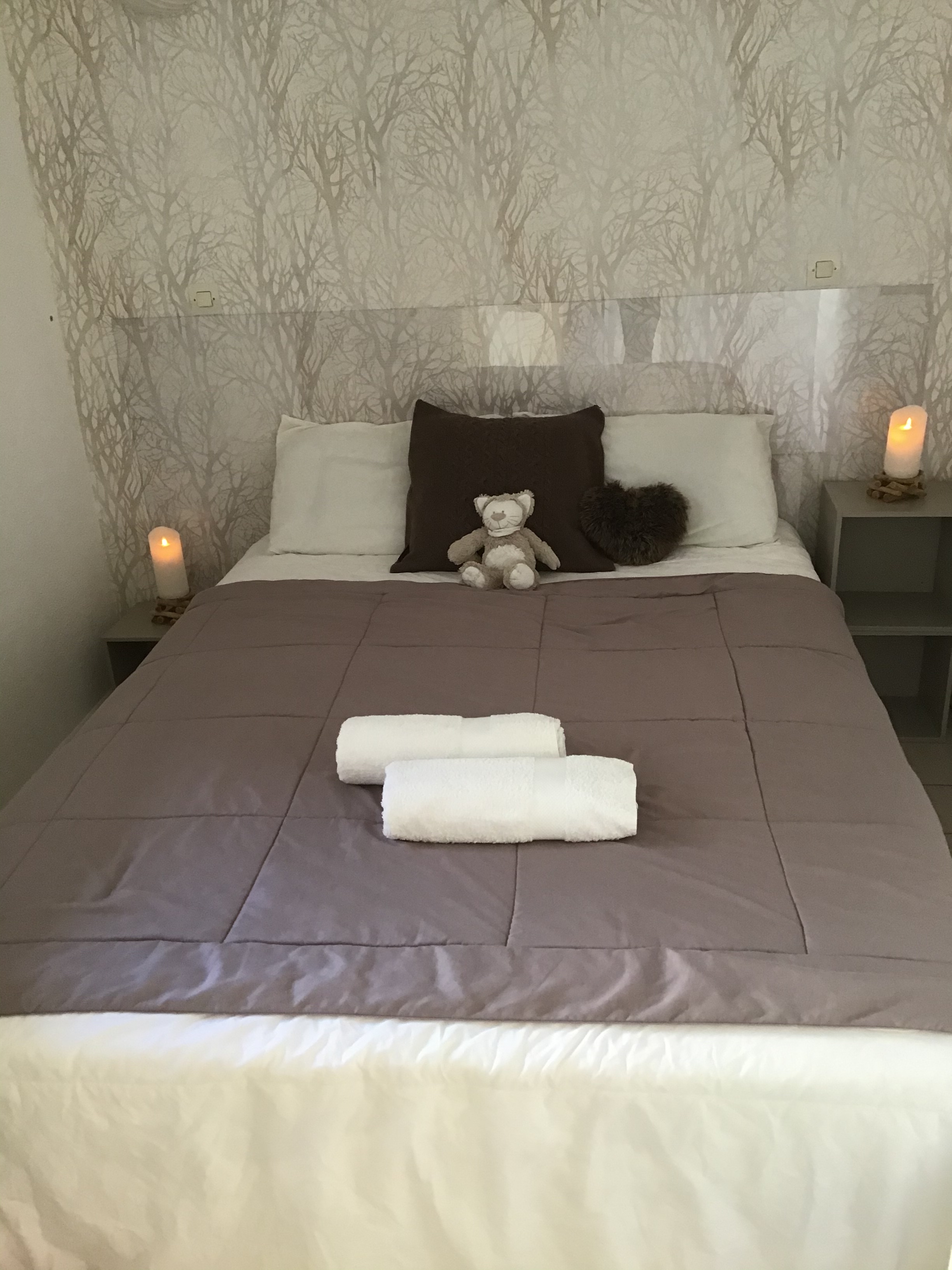 Welcoming, pleasant apartment in Allevard-38