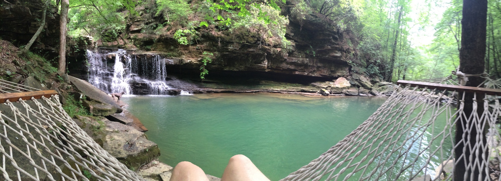 Wake up in a glass tree house Treehouses for Rent in Hayden (Nectar