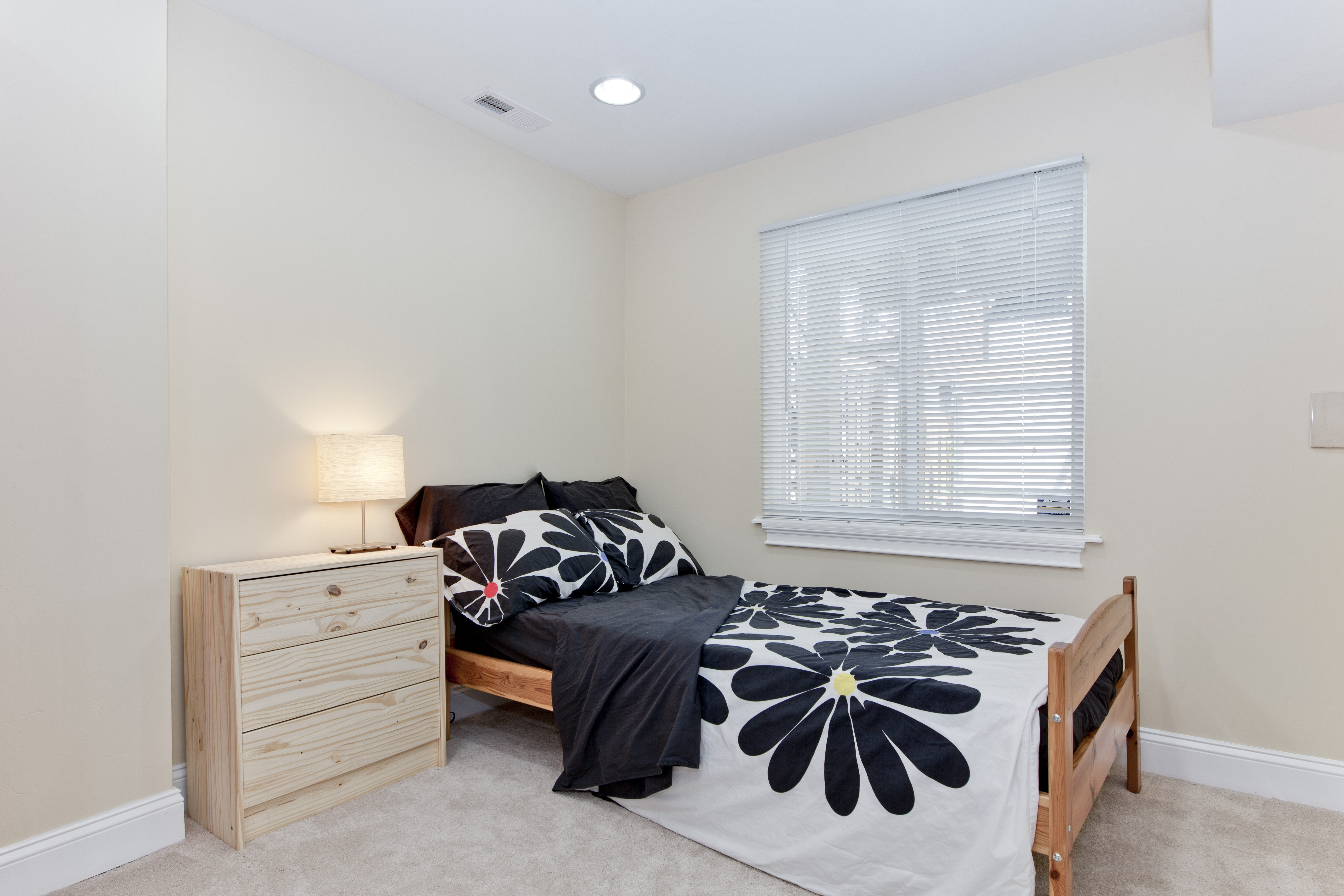 Cozy Trinidad in-law suite in Ivy City, Arboretum, Trinidad, Carver Langston, Washington Dc