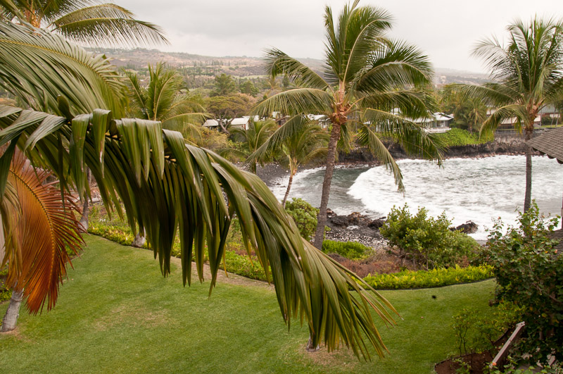 Turtle House, Kanaloa at Kona, AC 2 Bed Ocean View