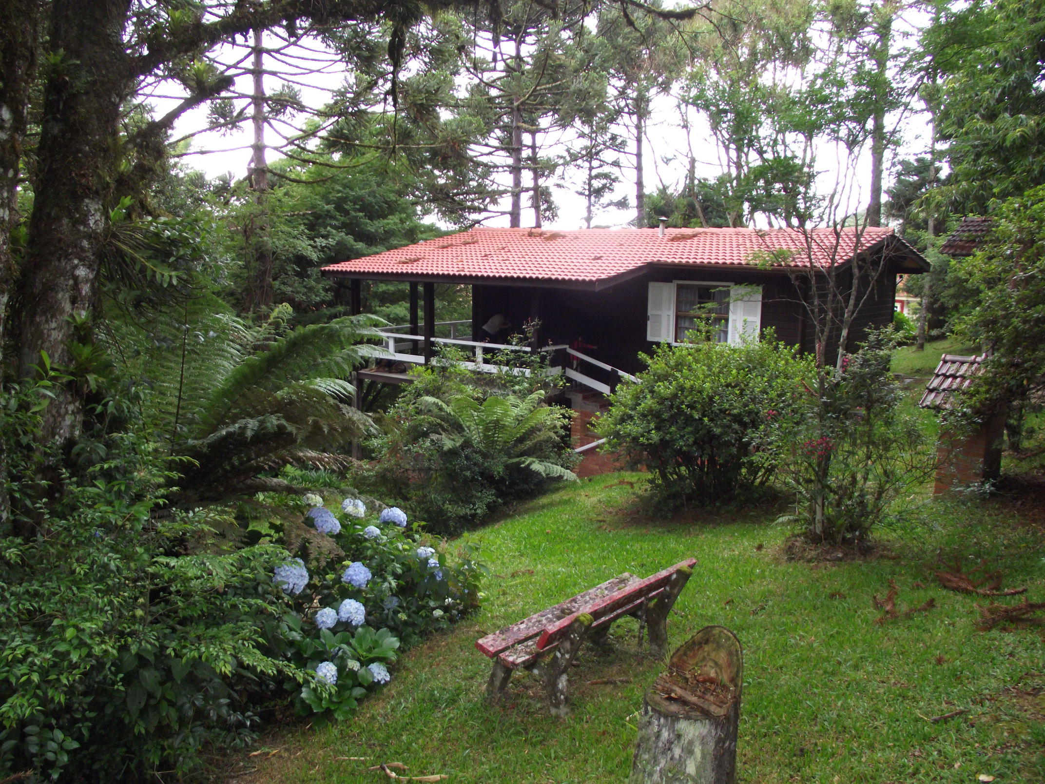 Chalé no Bosque de Araucárias Casas de campo para Alugar