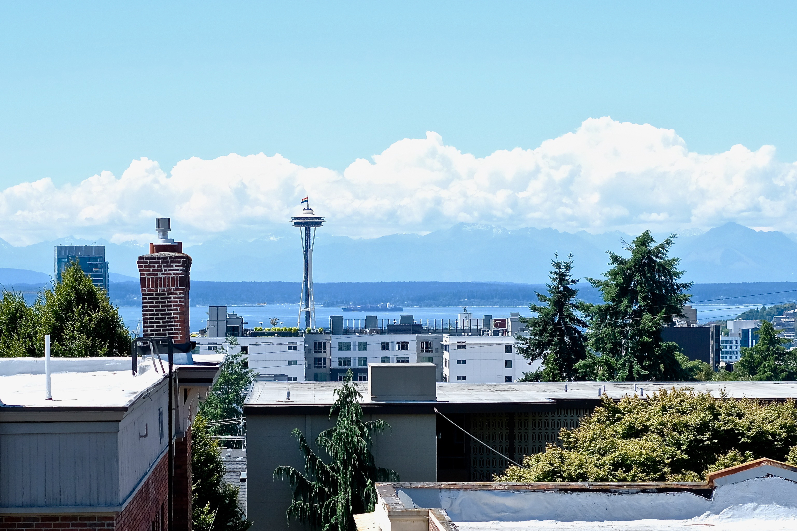 Stunning Capitol Hill View Apartment