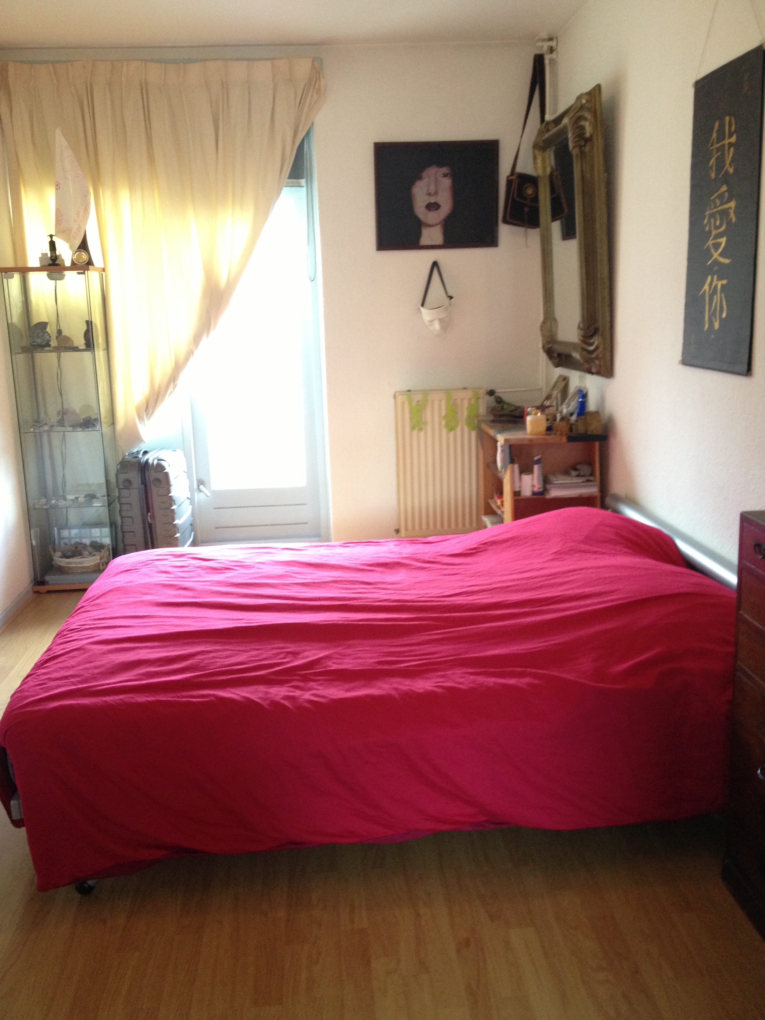 BIG COZY APARTMENT — Amsterdam stay