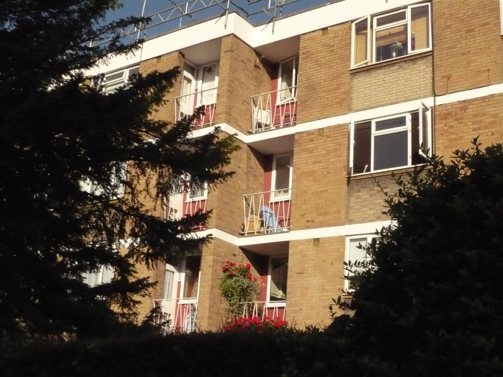 Cozy studio flat in vibrant Putney