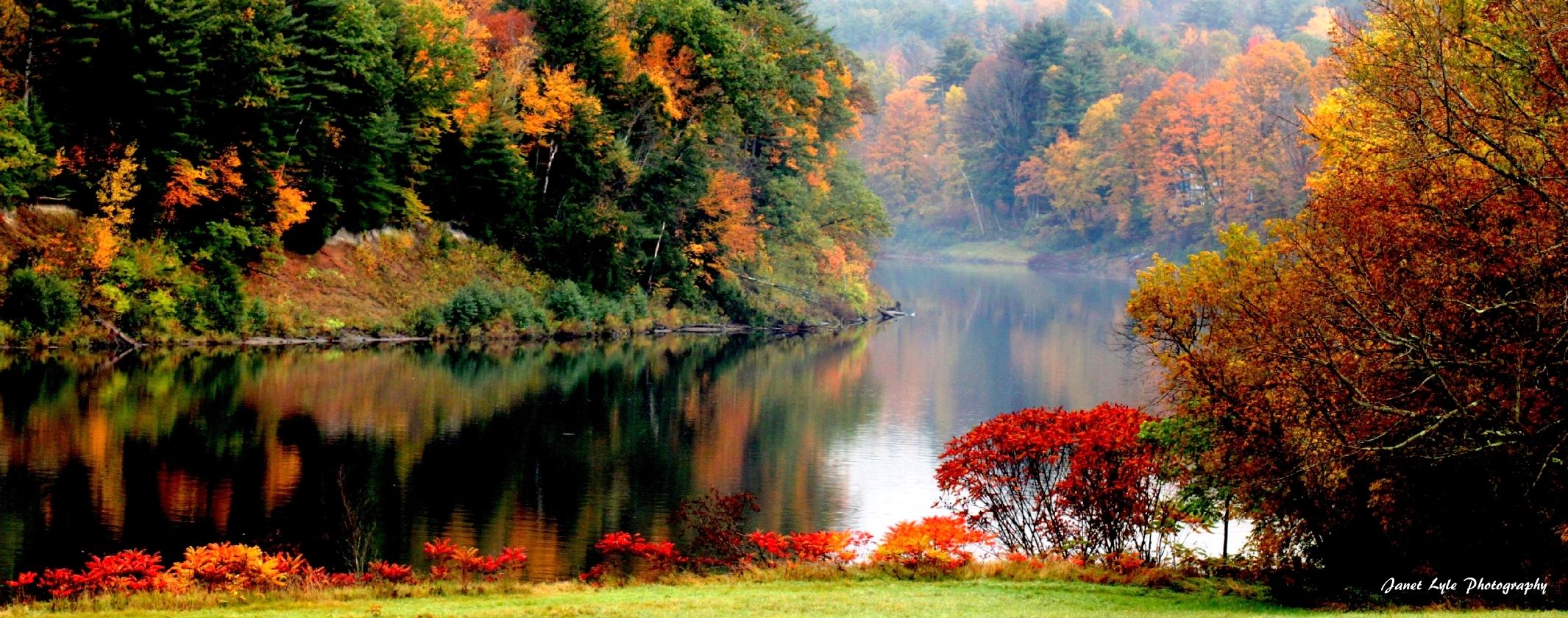 PET FRIENDLY, PRIVATE & PEACEFUL Houses for Rent in Putney, Vermont