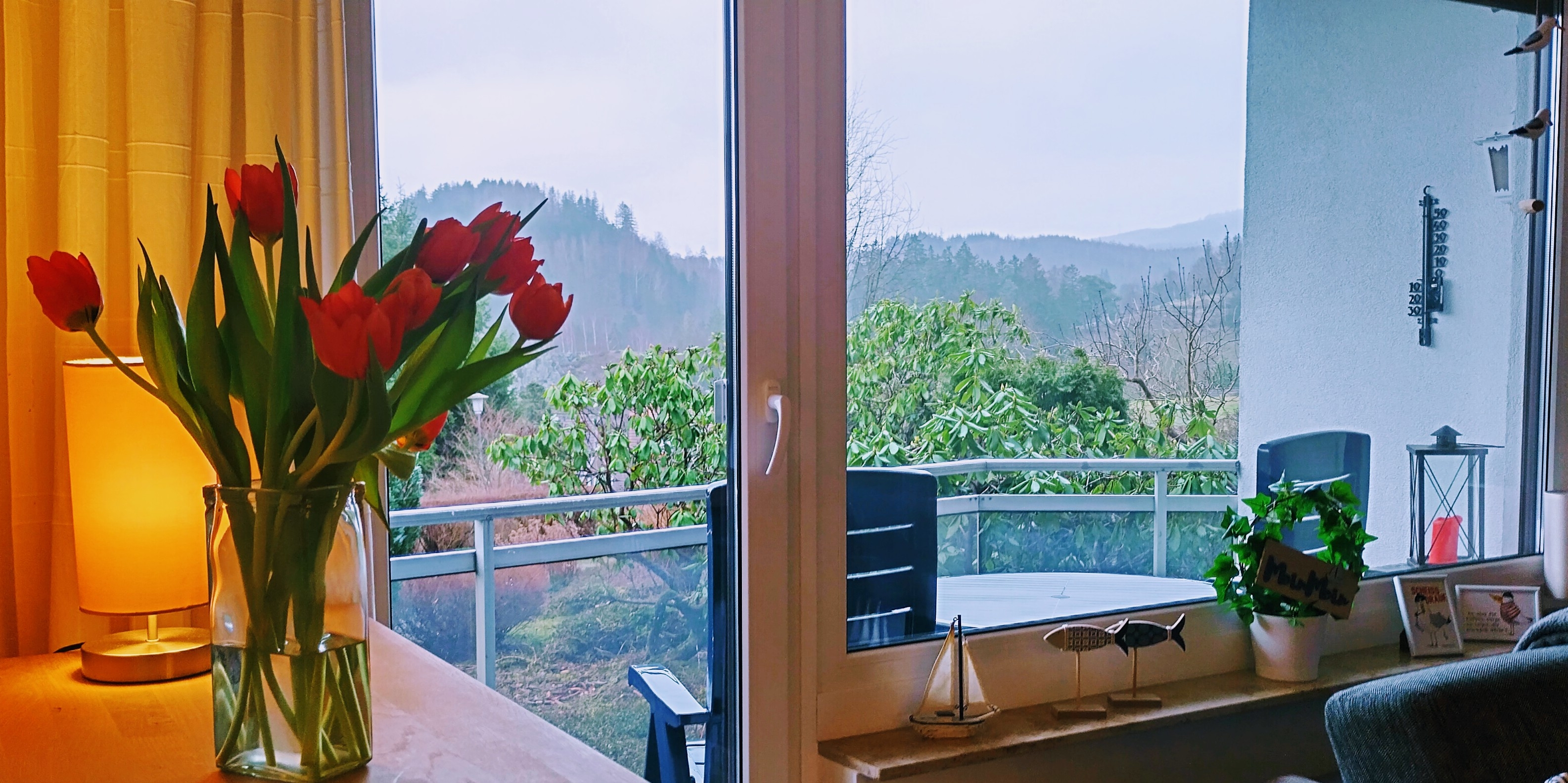 The Northern Lights – the cozy apartment  in Altenau!