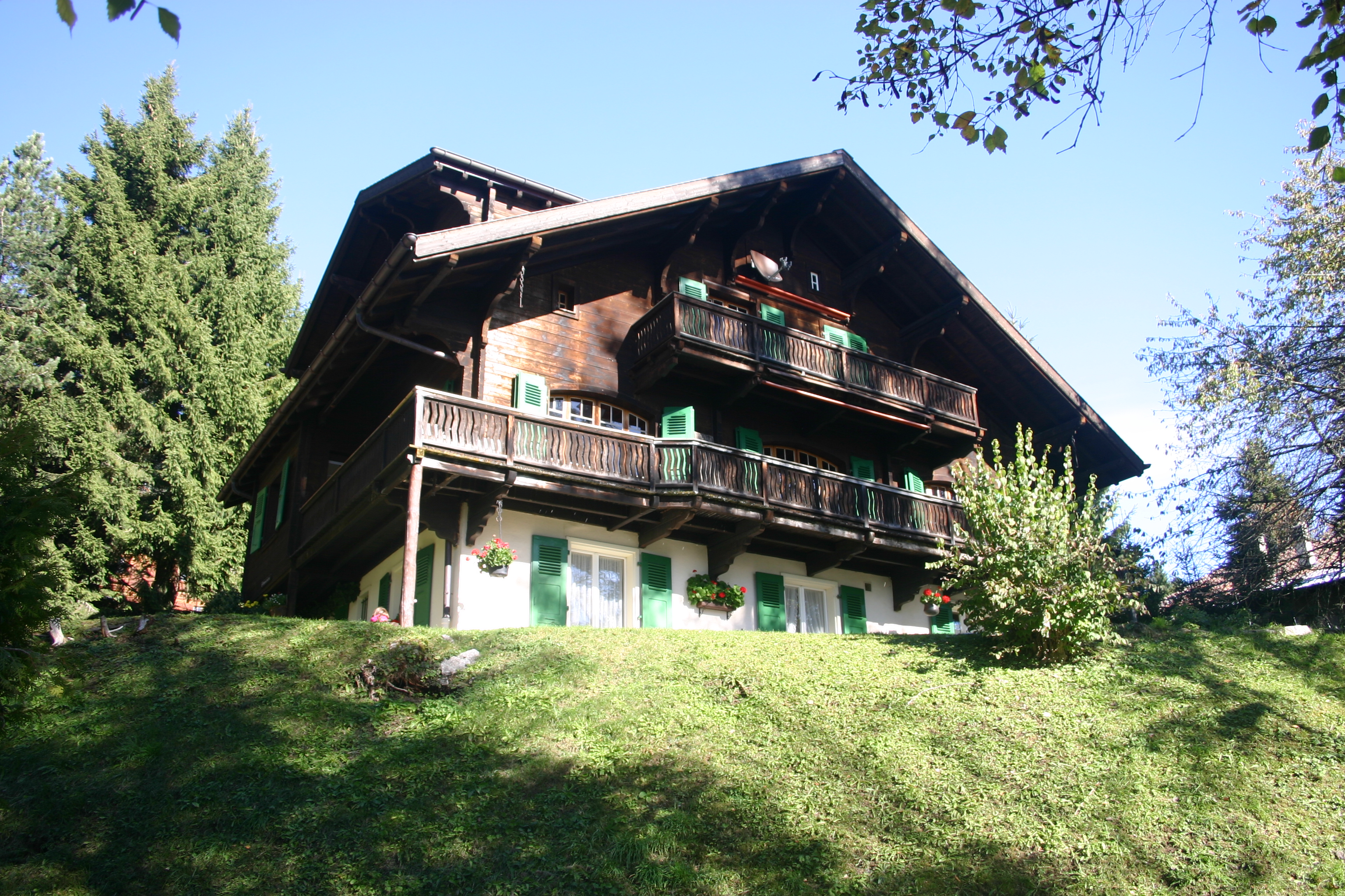 Century-old Swiss chalet with views to die for
