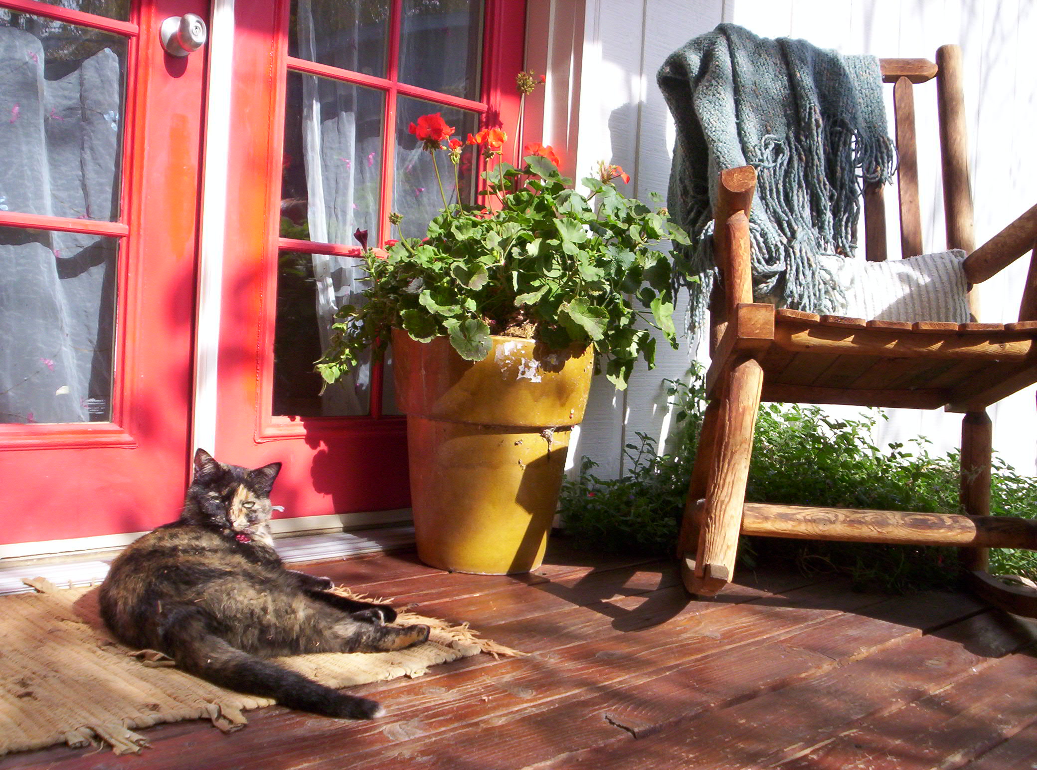 " sweet little garden studio " Guest suites for Rent in Talent