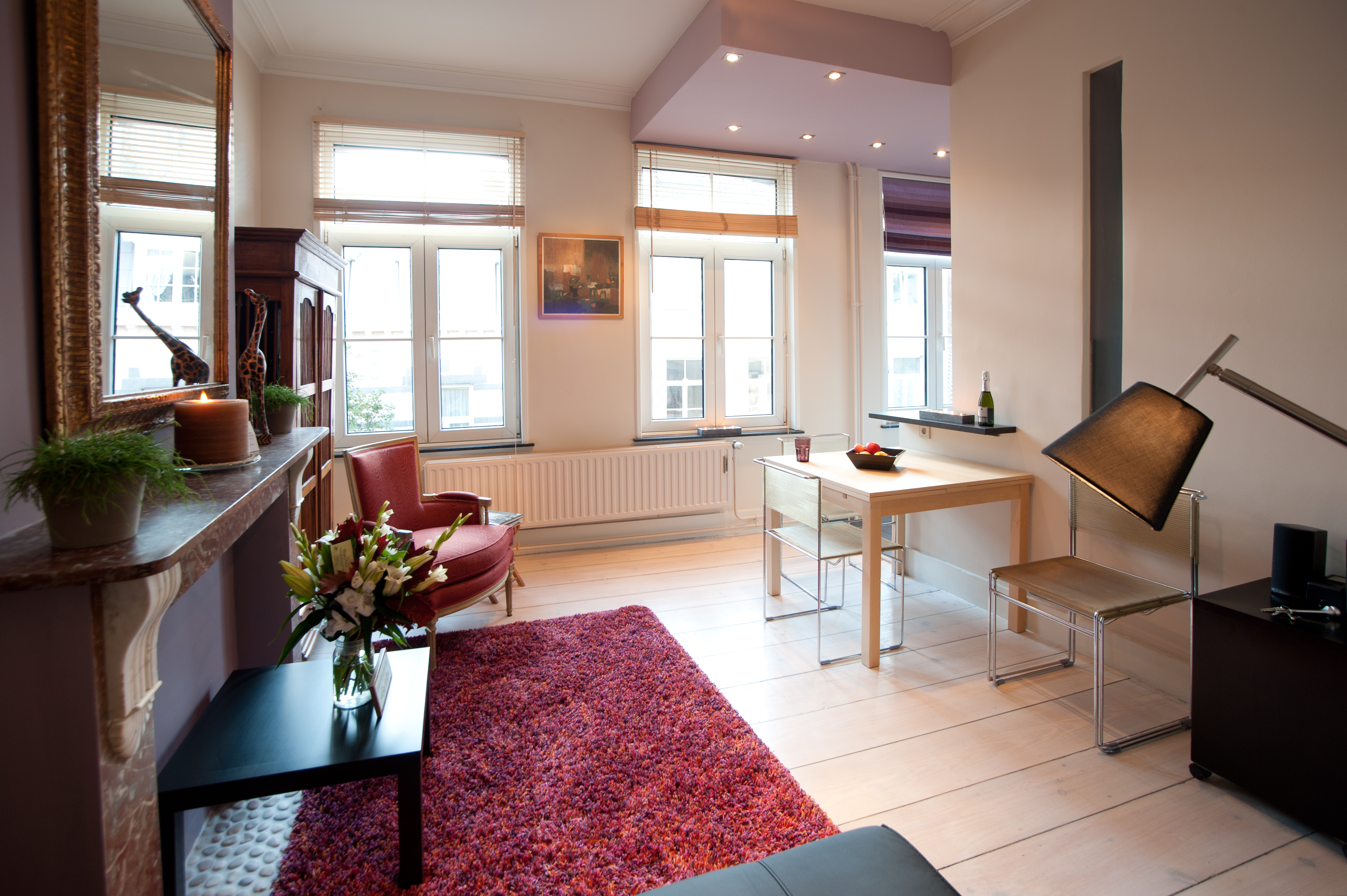 Bright apartment in Ixelles/Louise in Ixelles, Brussels
