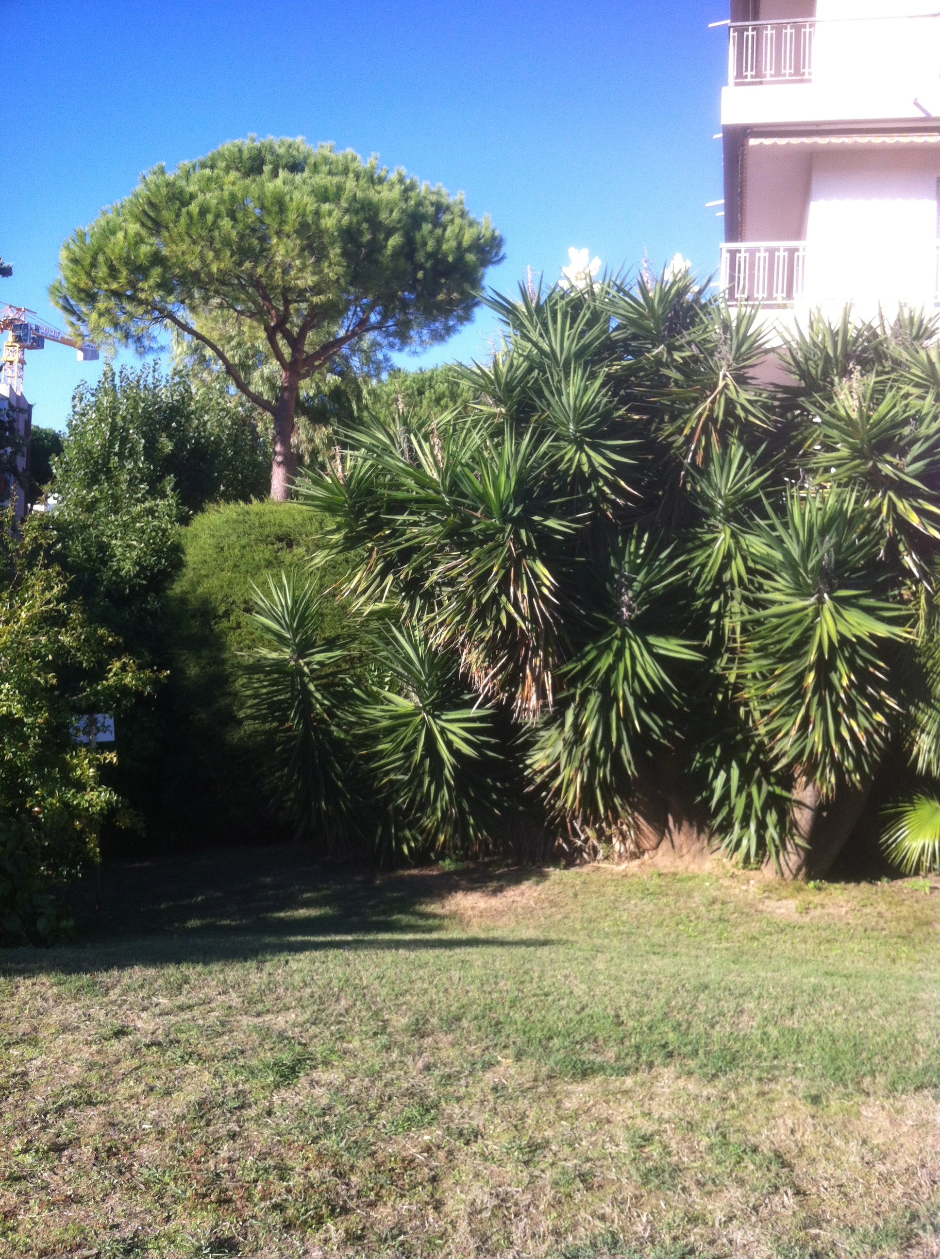Apartment in Antibes near train station and city center