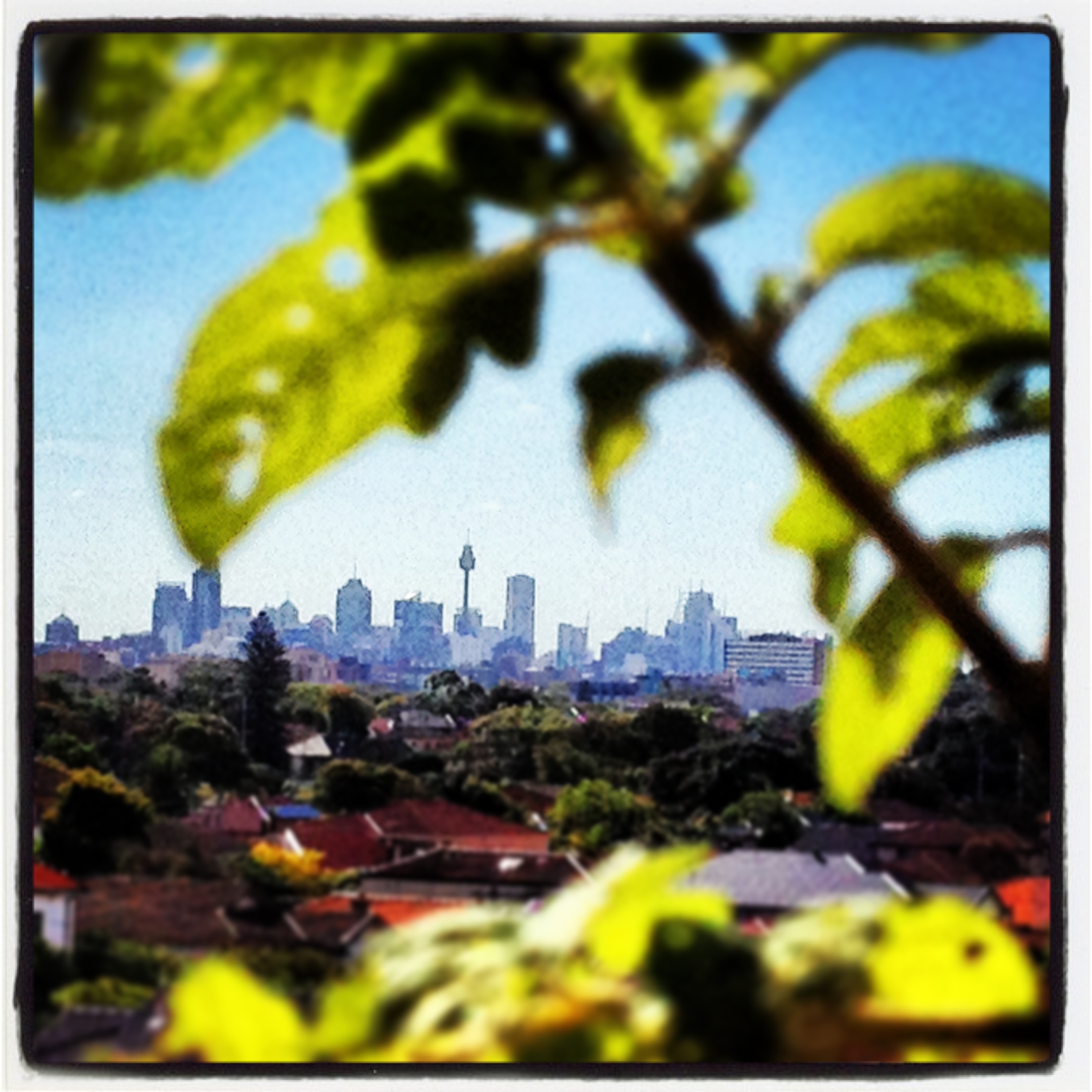 Spacious 2 bdr panoramic city views in Randwick, Sydney