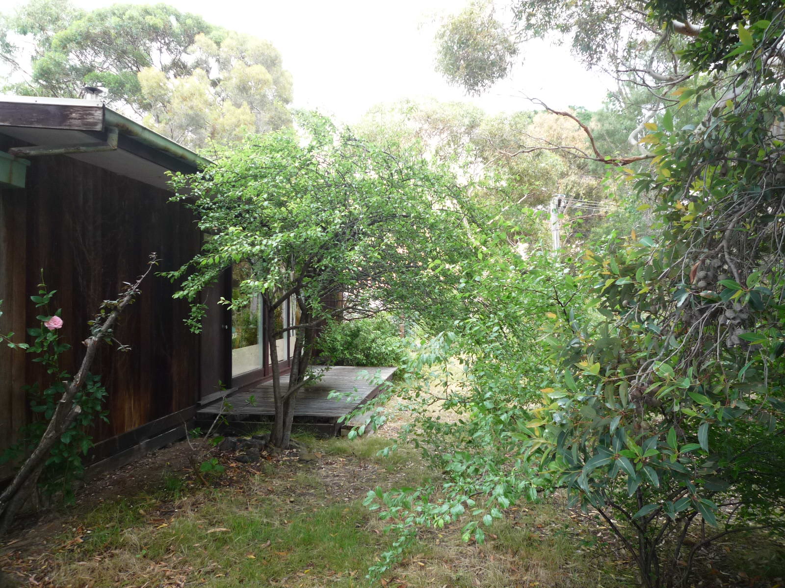 Somers House in Hastings - Somers, Mornington Peninsula