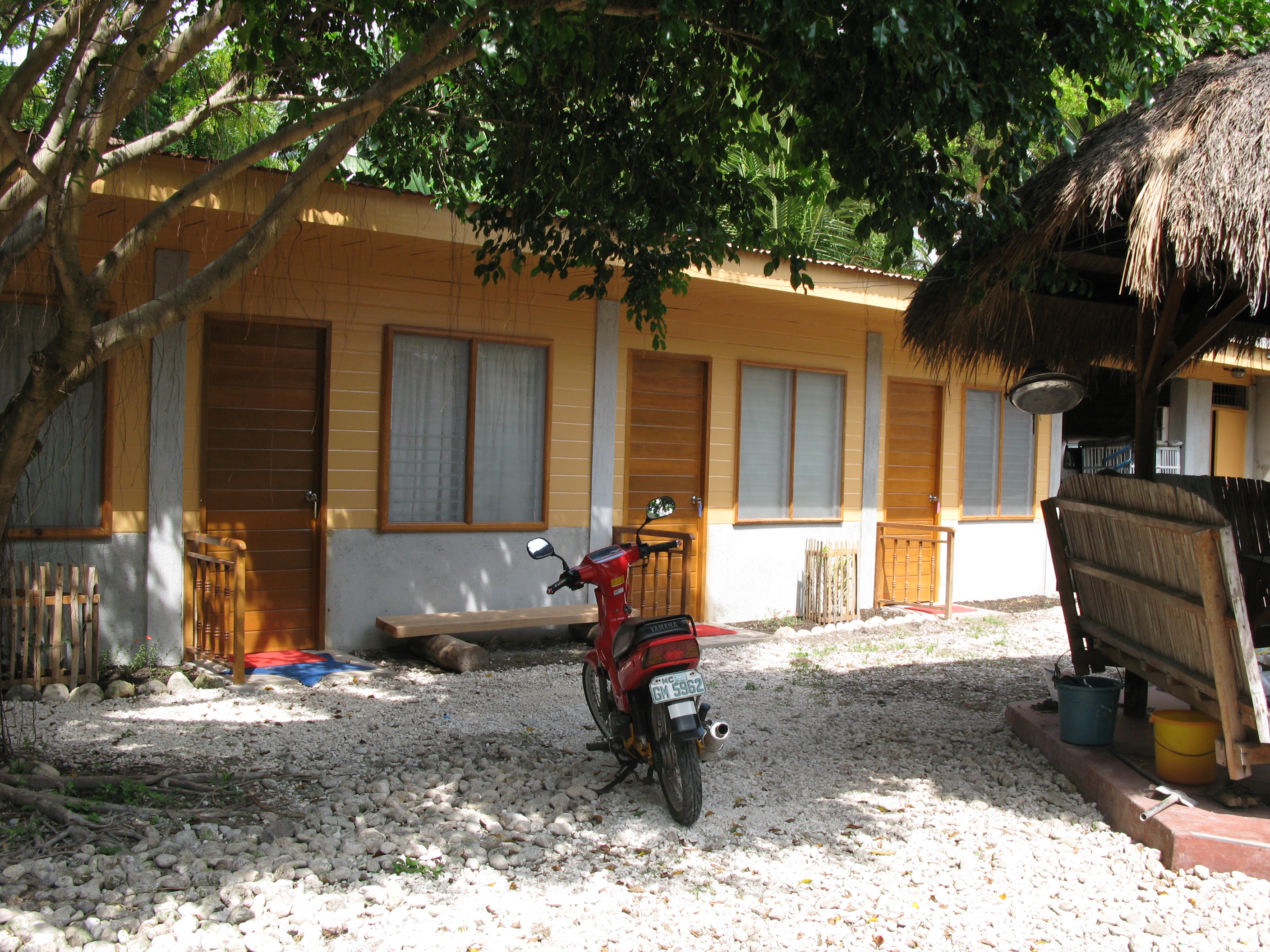 Oslob Whale Watching B&B