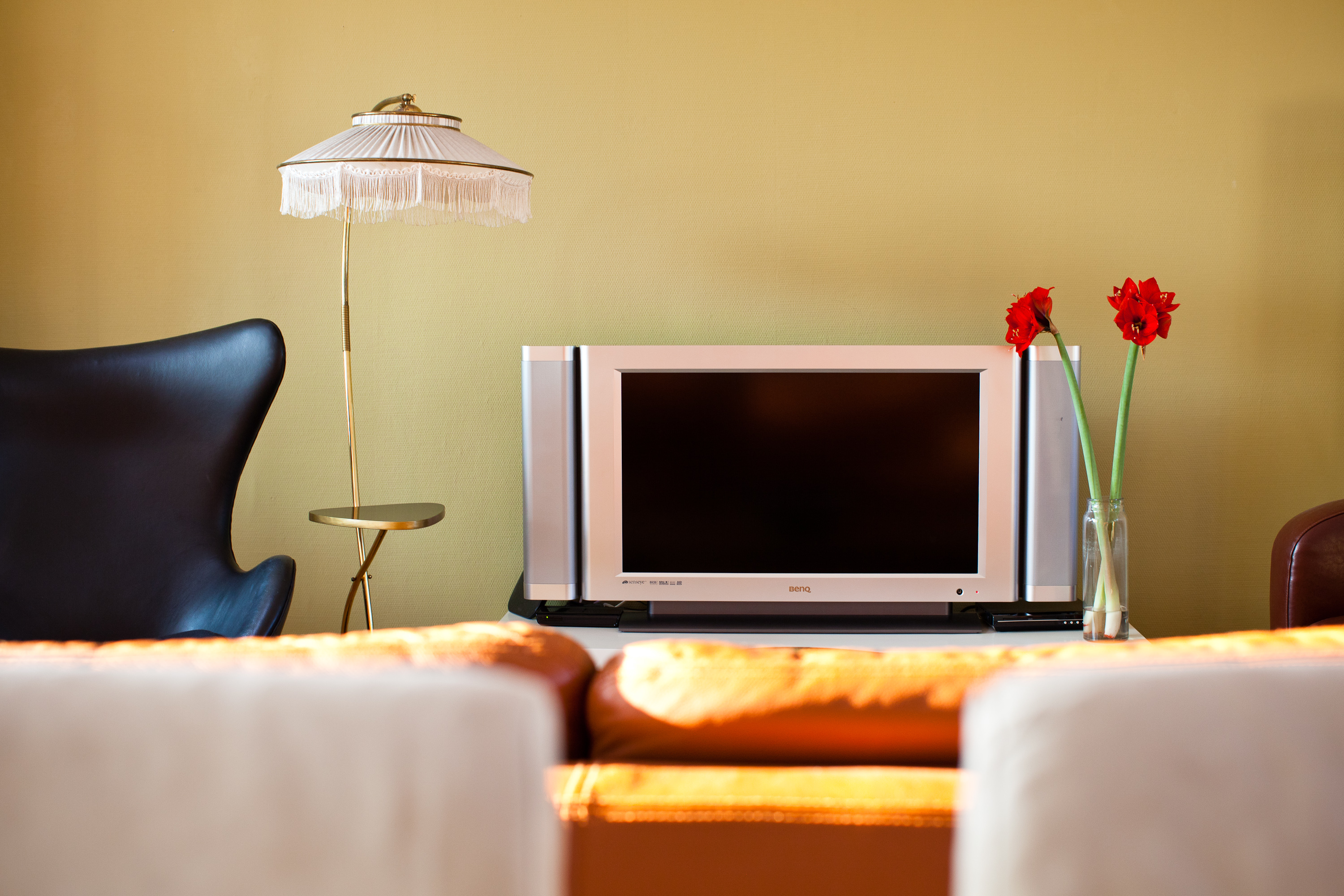 spacious and cozy living in PrenzlBerg