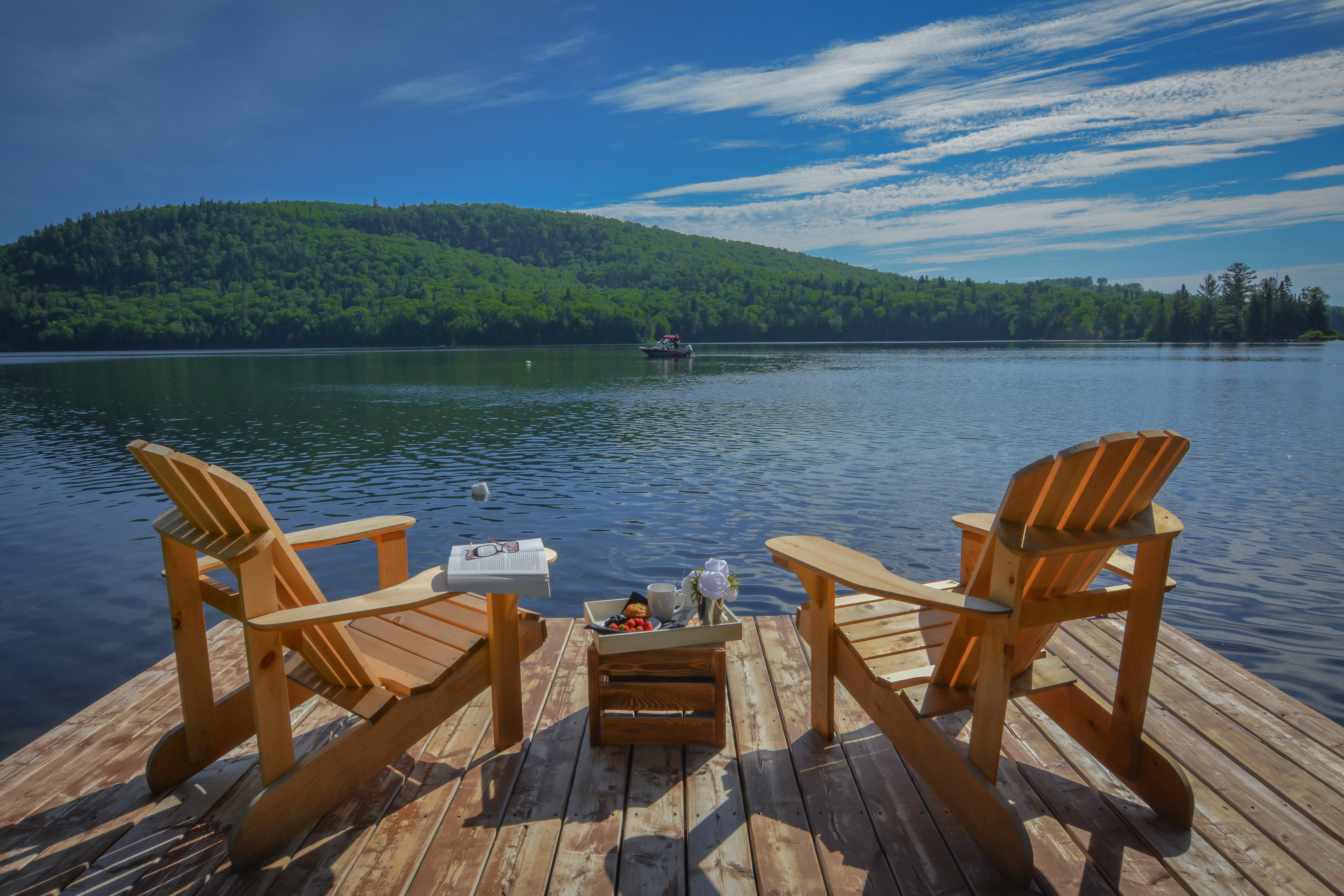 Chalet des Grands Espaces Verts with Spa Chalets for Rent in Sainte