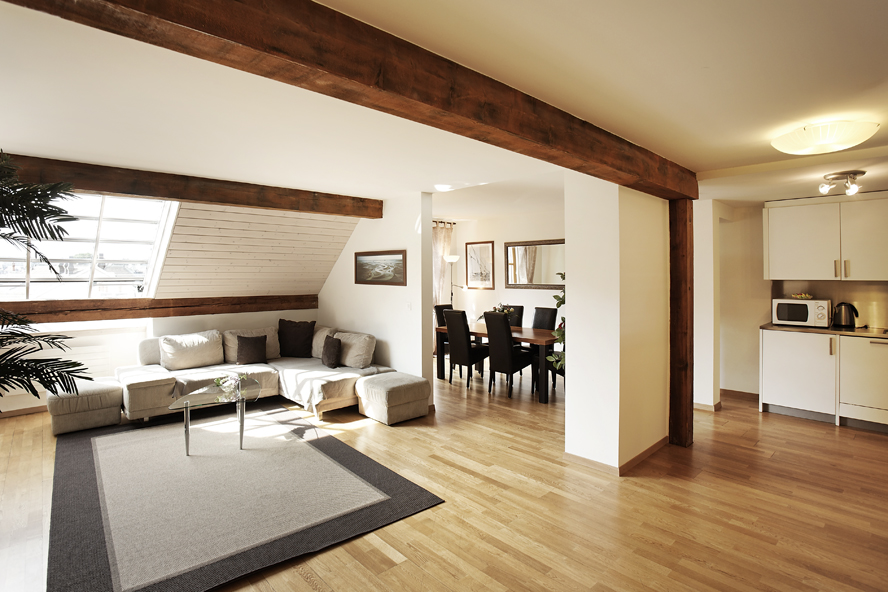 Geneva center, sunny 2 bedrooms, full AC