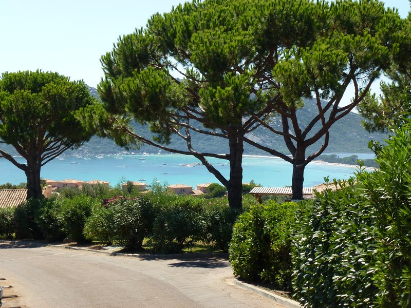 Villa with sea view, bay of Santa-Giulia Porto-Vecchio
