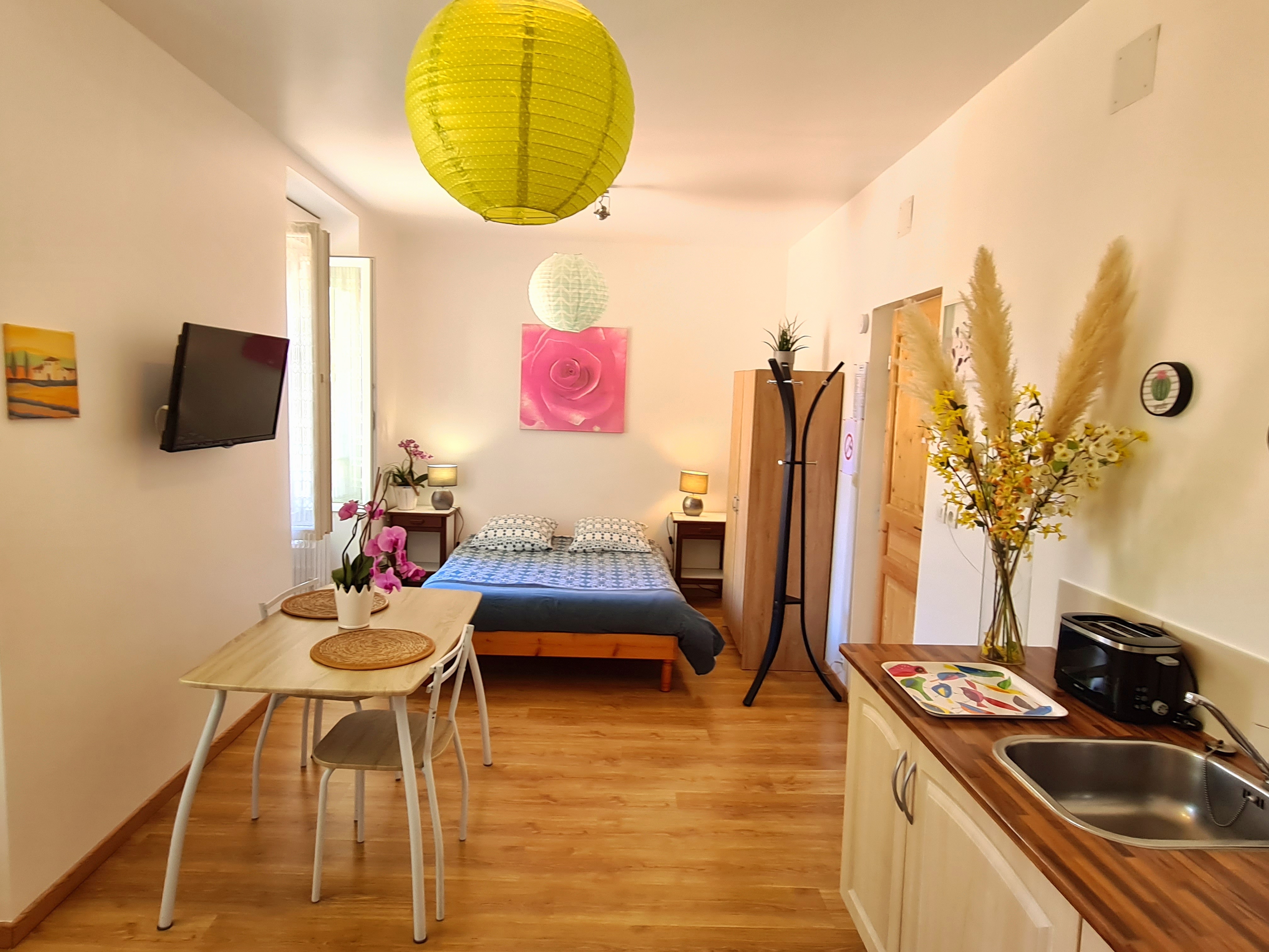 Air-conditioned studio 26 m2 very  bright and quiet.