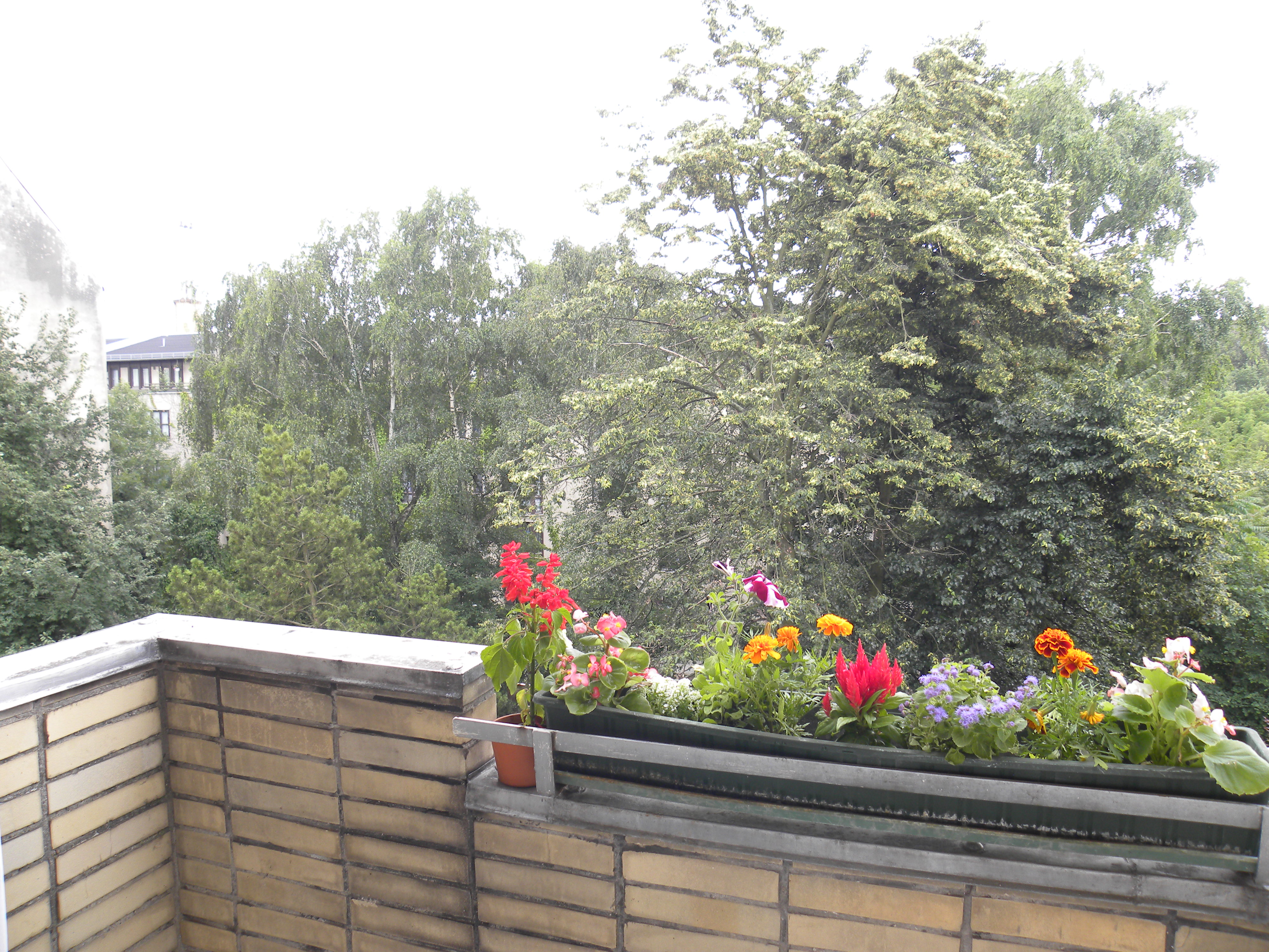 Sunny apartment no.1 in Berlin city in Osloer Straße, Berlin