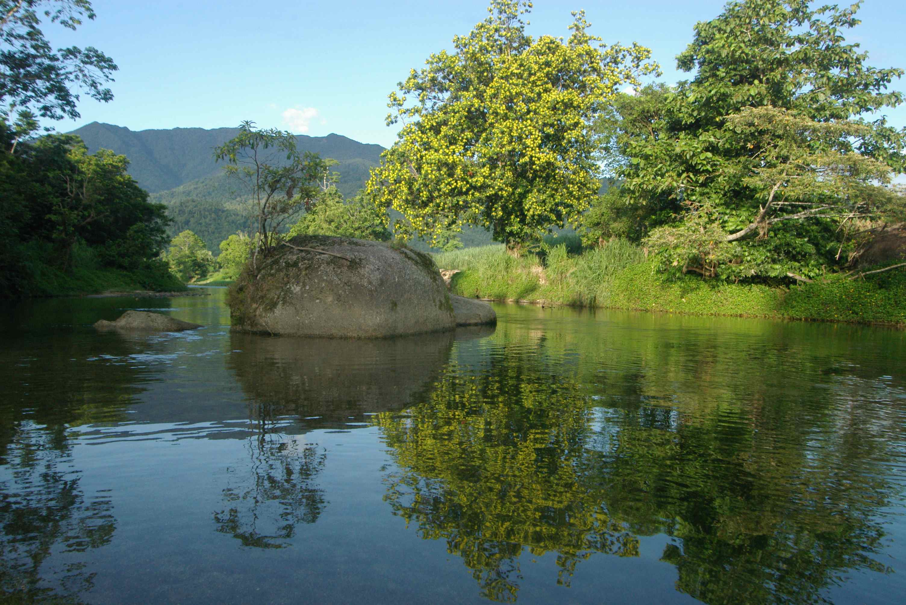 Bella Vista Cottage Guesthouses for Rent in Mirriwinni, Queensland