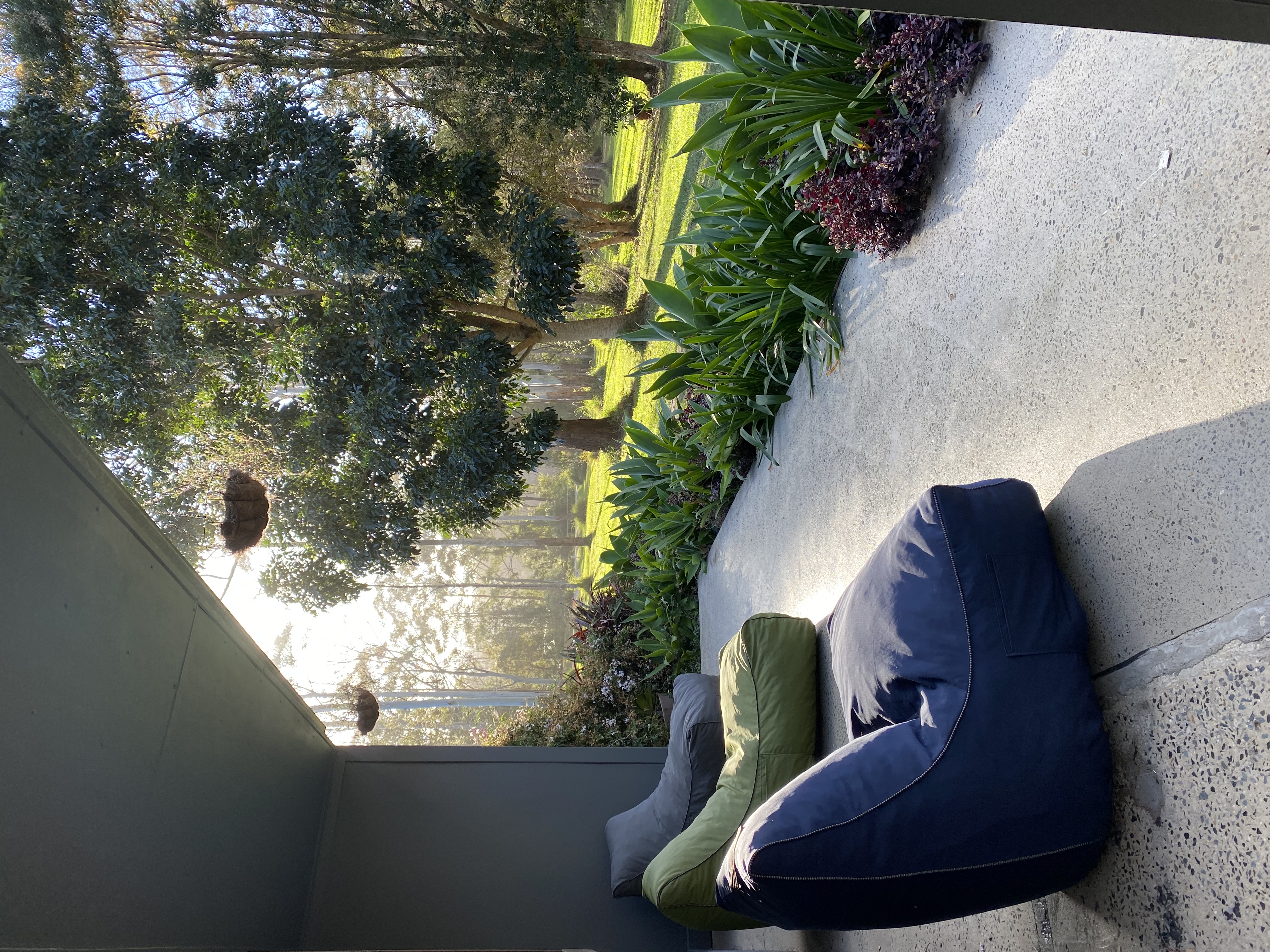 Nutty bungalow on an organic nut farm by the beach in Bellingen, Mid North Coast