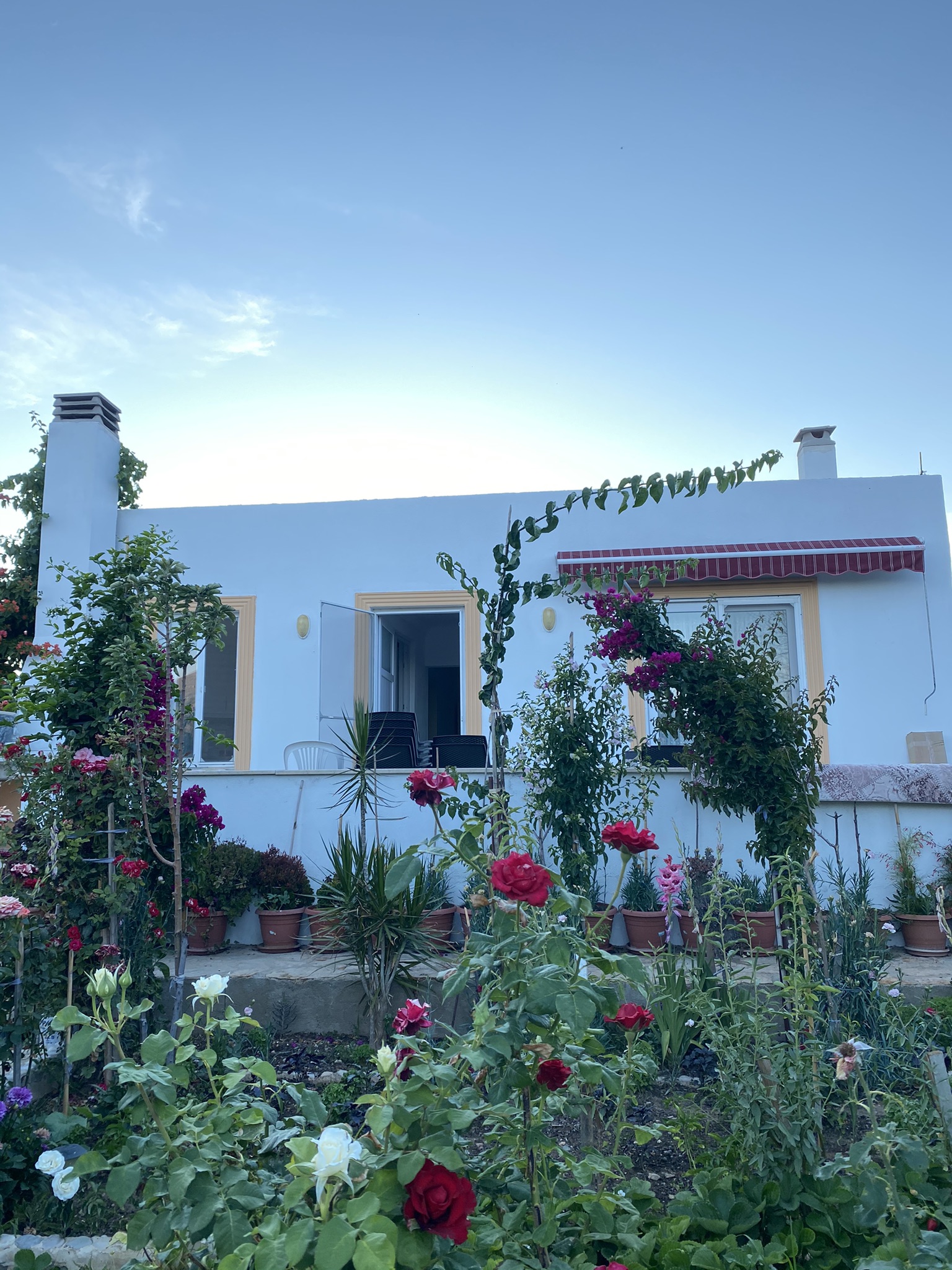 Palamutbükü’nde sebze bahçesi içinde müstakil ev Houses for Rent in