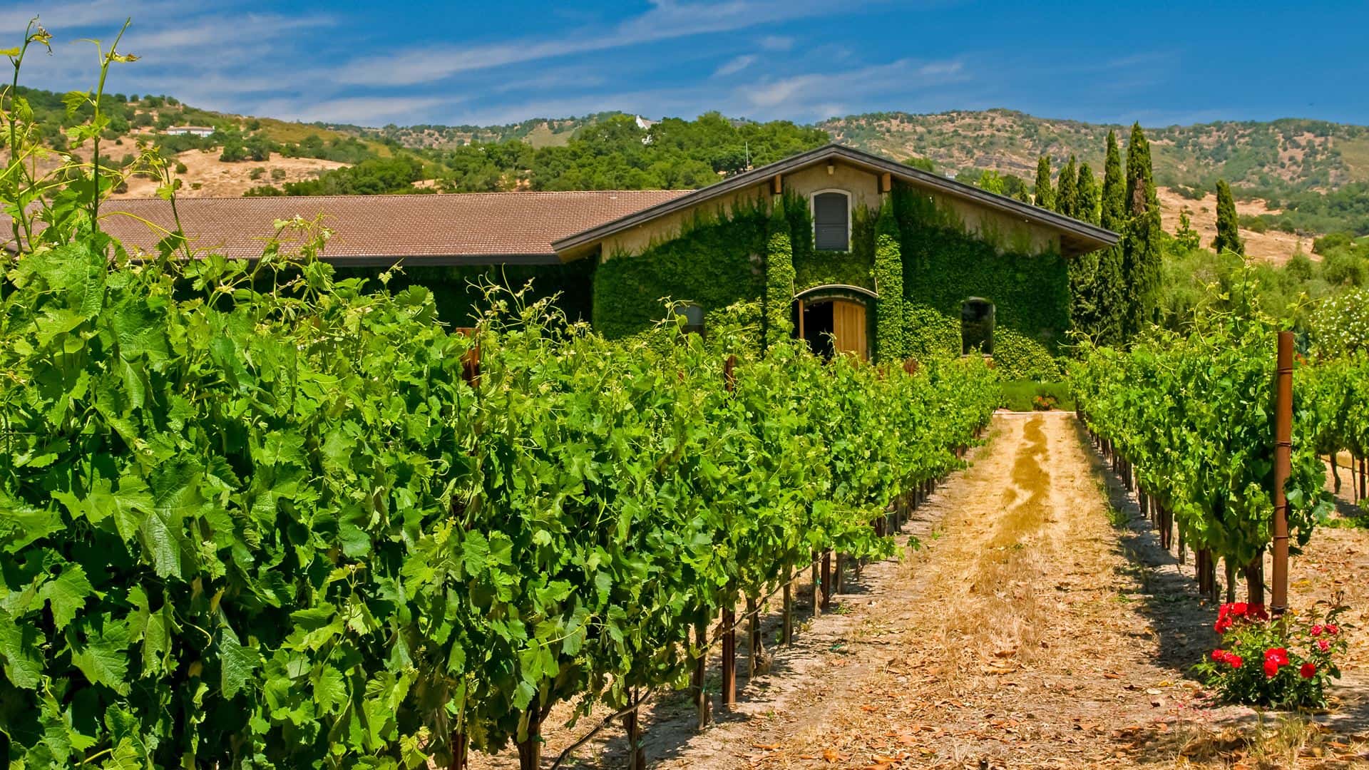 Monthly Rentals Sonoma County