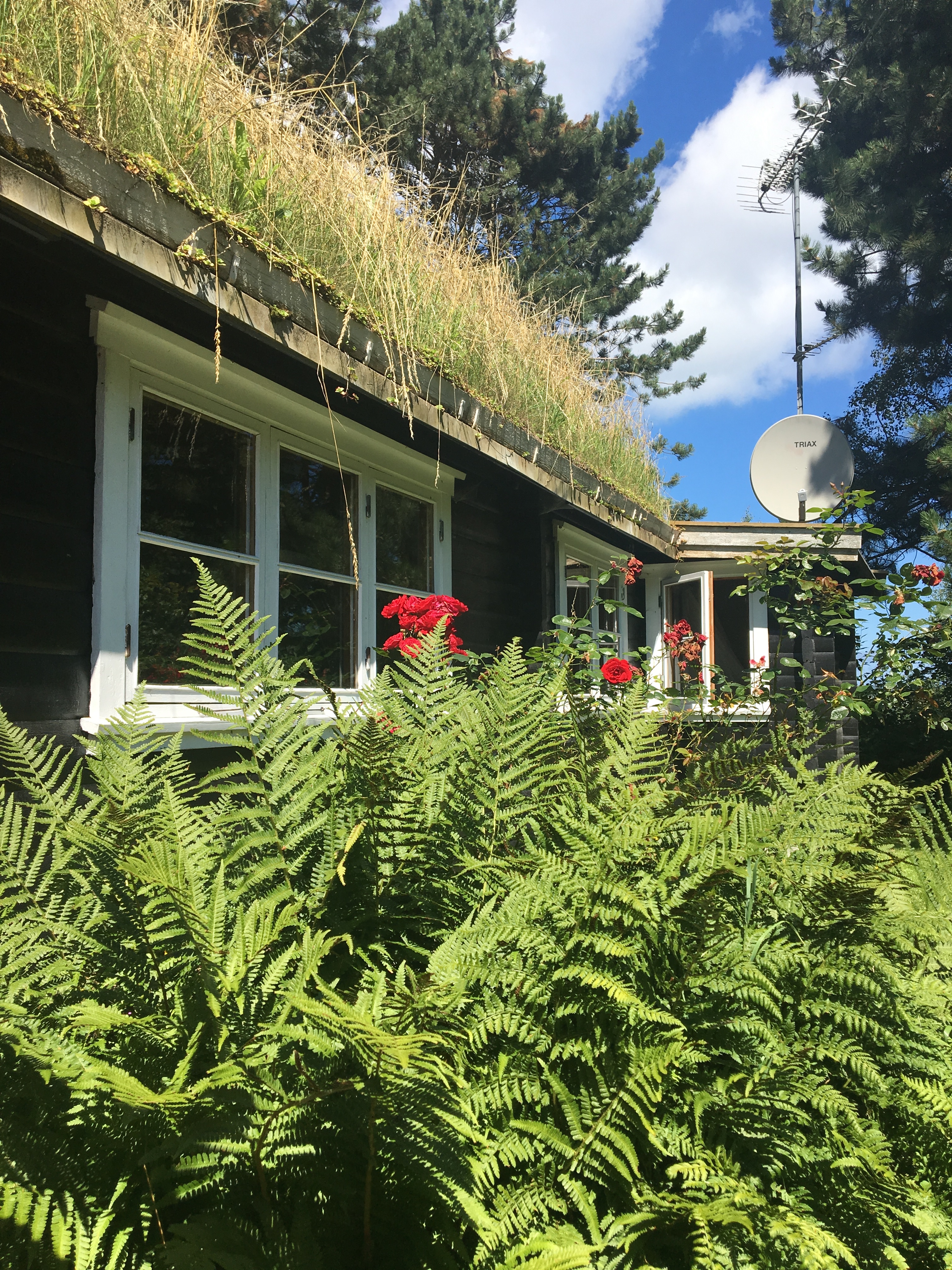 Cosy summer cottage 300 m from the sea