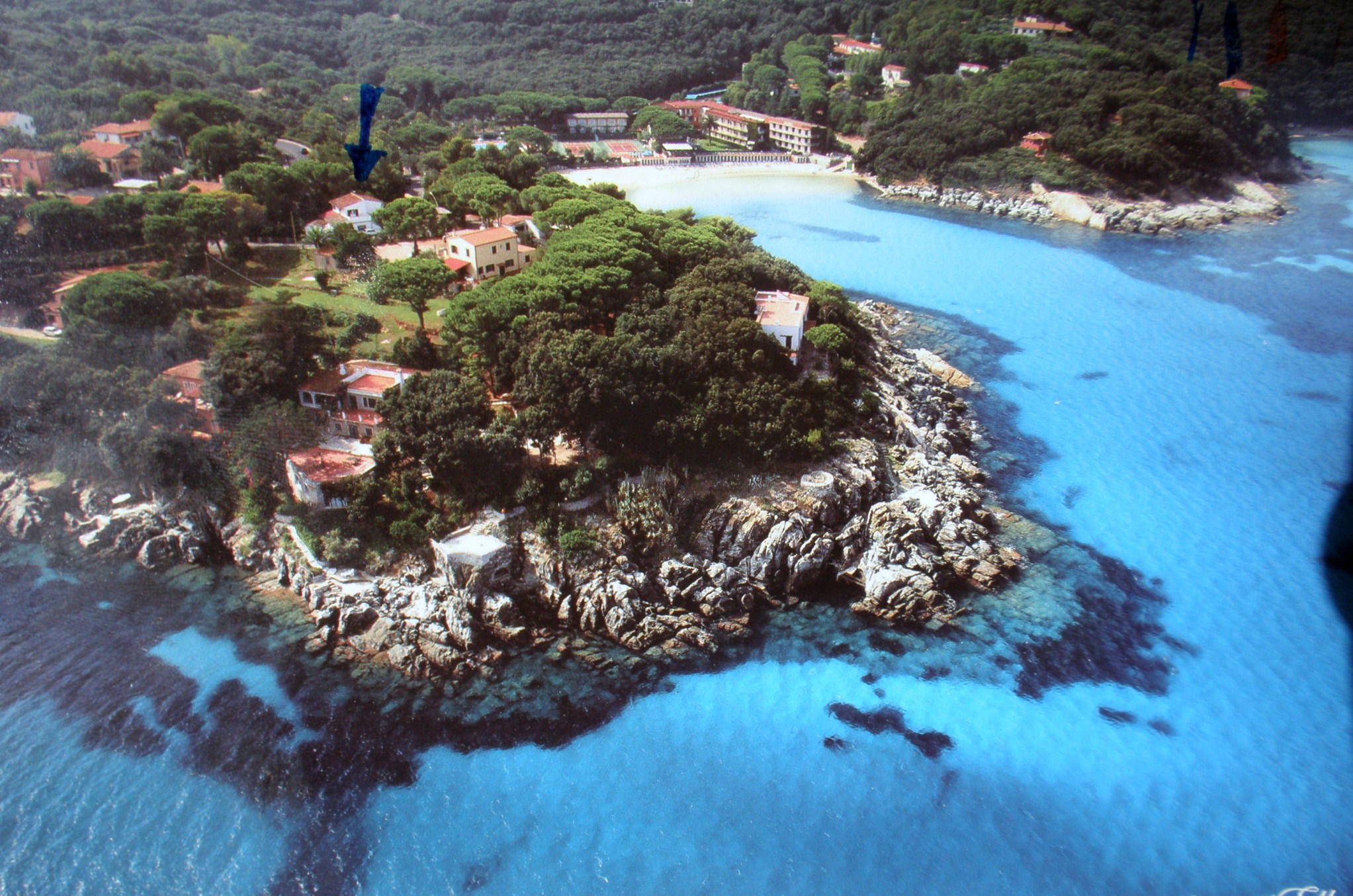 Procchio Elba less than 200 metres from two beach Apartments for Rent