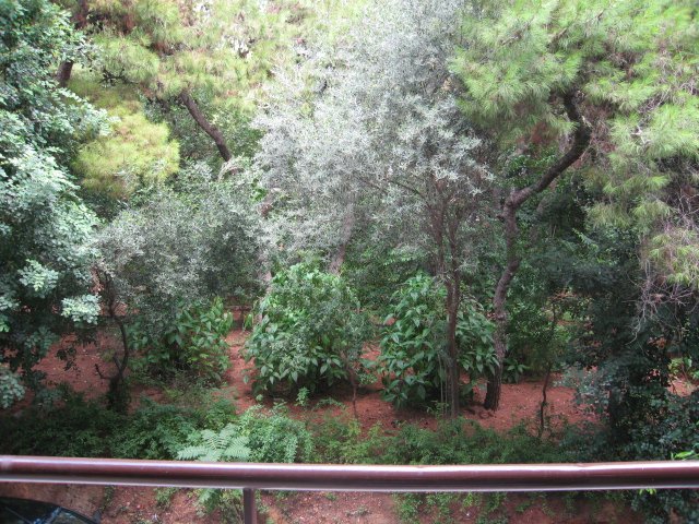 LUXURIOUS APARTMENT NEAR US EMBASSY in ΚΟΛΩΝΑΚΙ, Athens