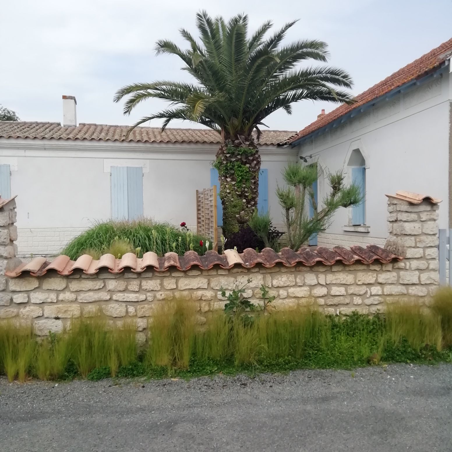 Yvette's House
