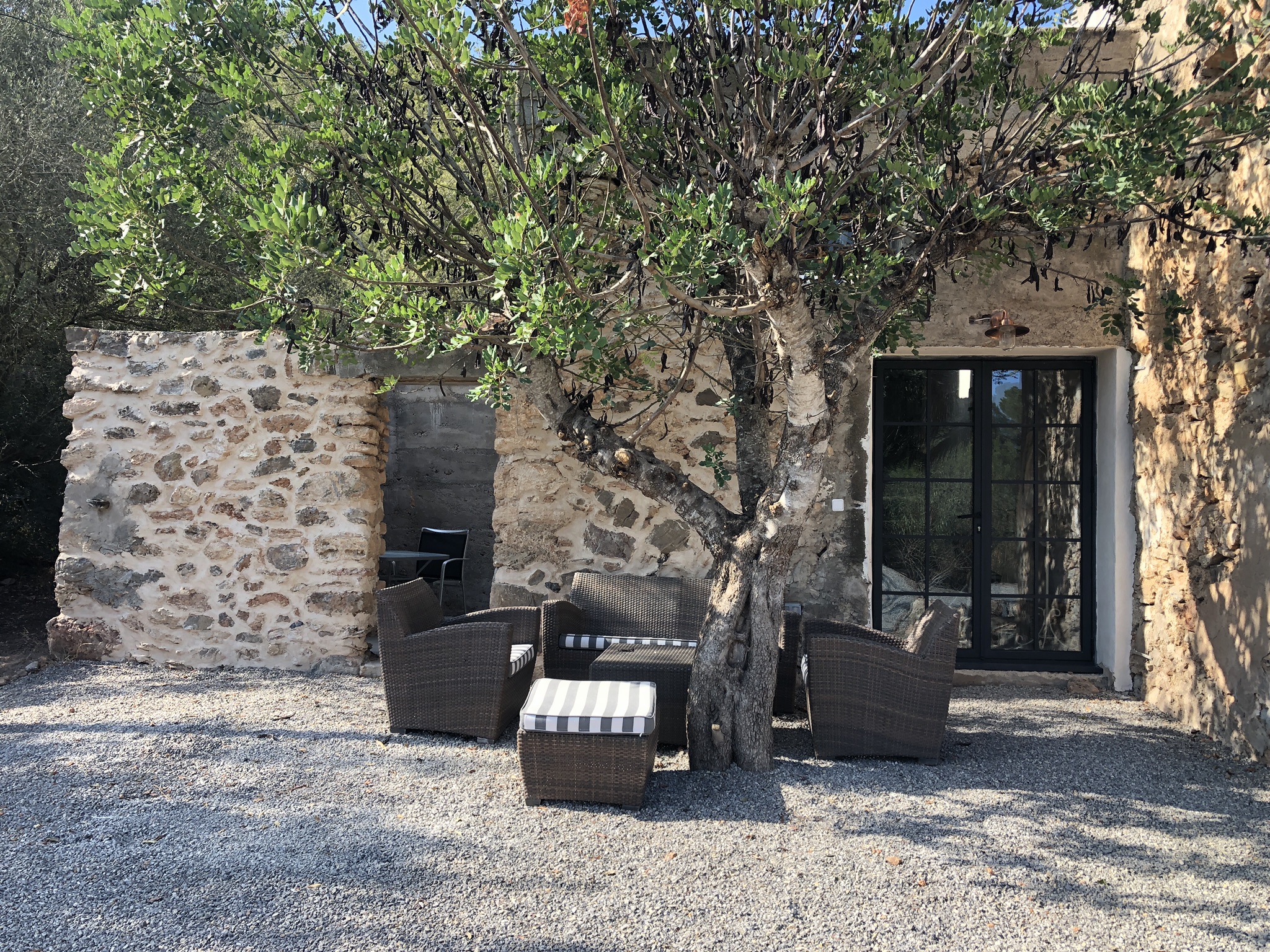 Download Private Casita On Ranch Covid Protocol In Place Penginapan Sawah Untuk Disewakan Di Santa Gertrudis Balearic Islands Spanyol PSD Mockup Templates