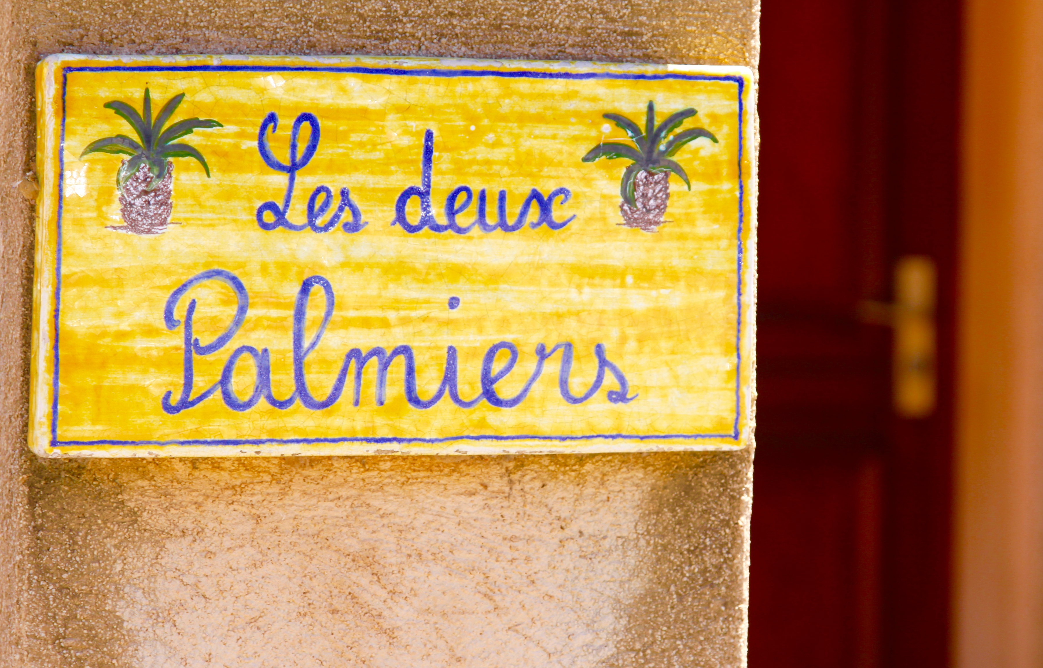 Villa LES DEUX PALMIERS with private pool & garden