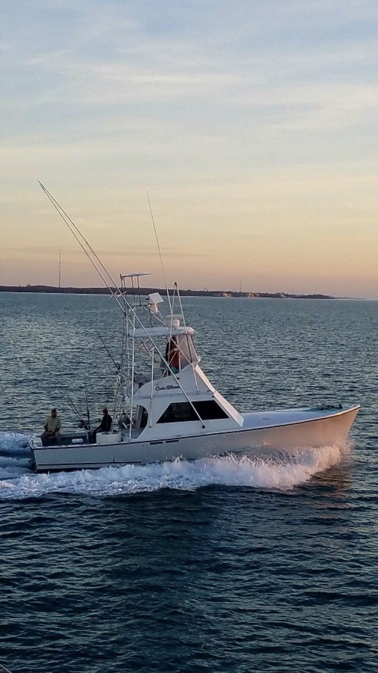 Catch the fish of a lifetime!!! Airbnb