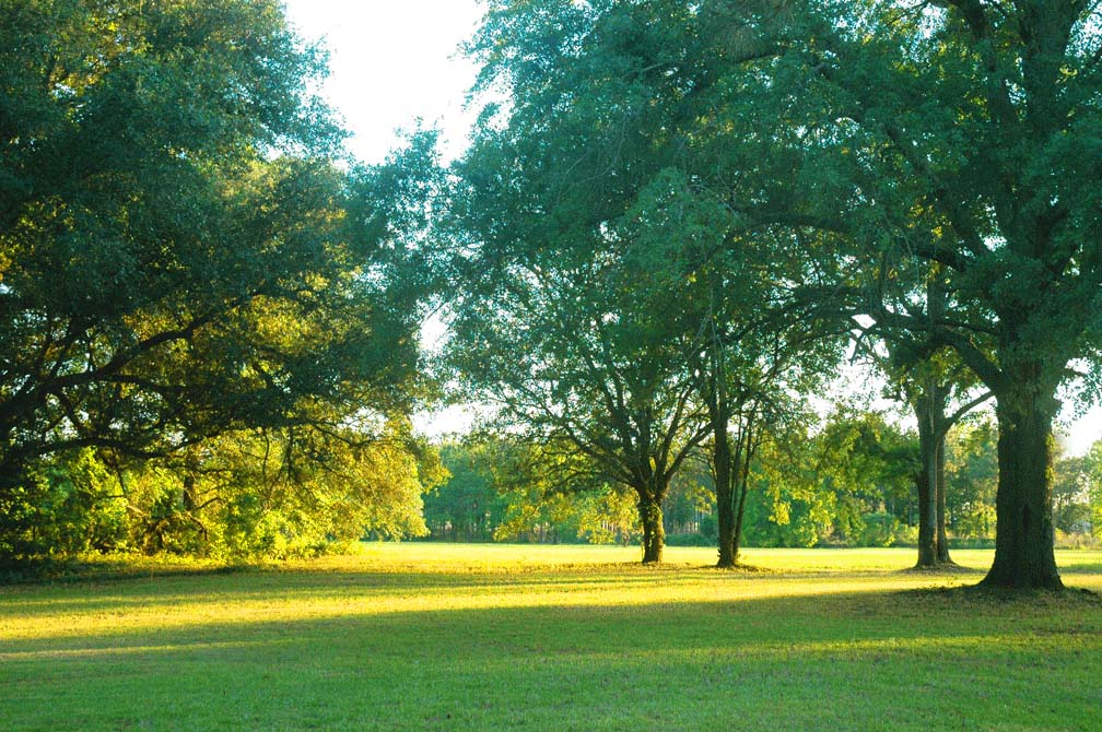 Guest House on an Historic Farm Houses for Rent in Bainbridge