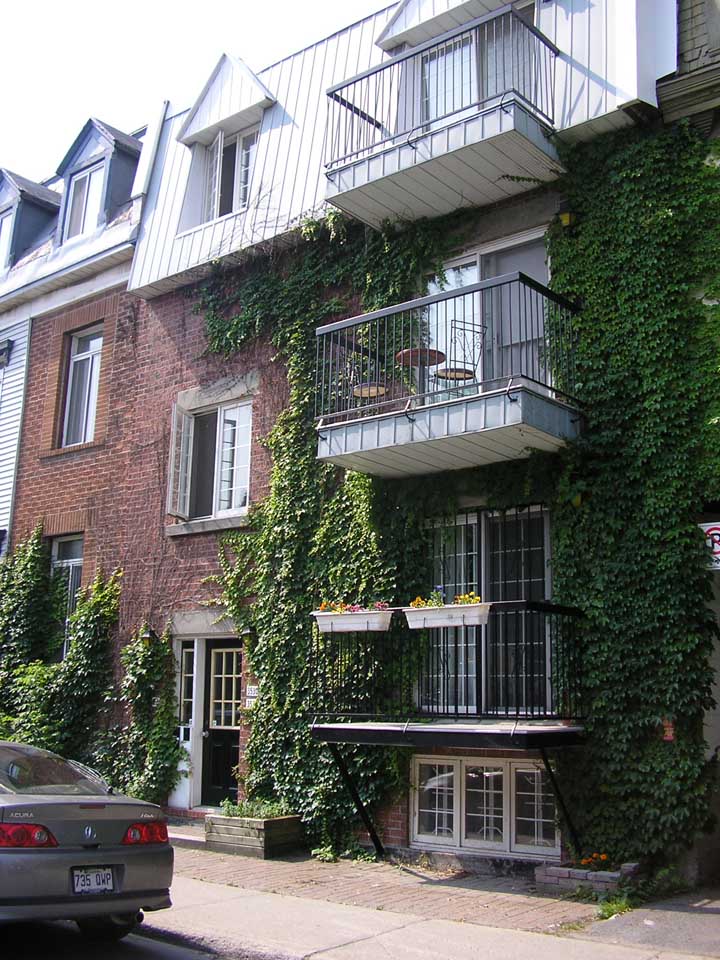 Spacious, quiet & walking distance to everything! in Le Plateau-Mont-Royal, Montreal