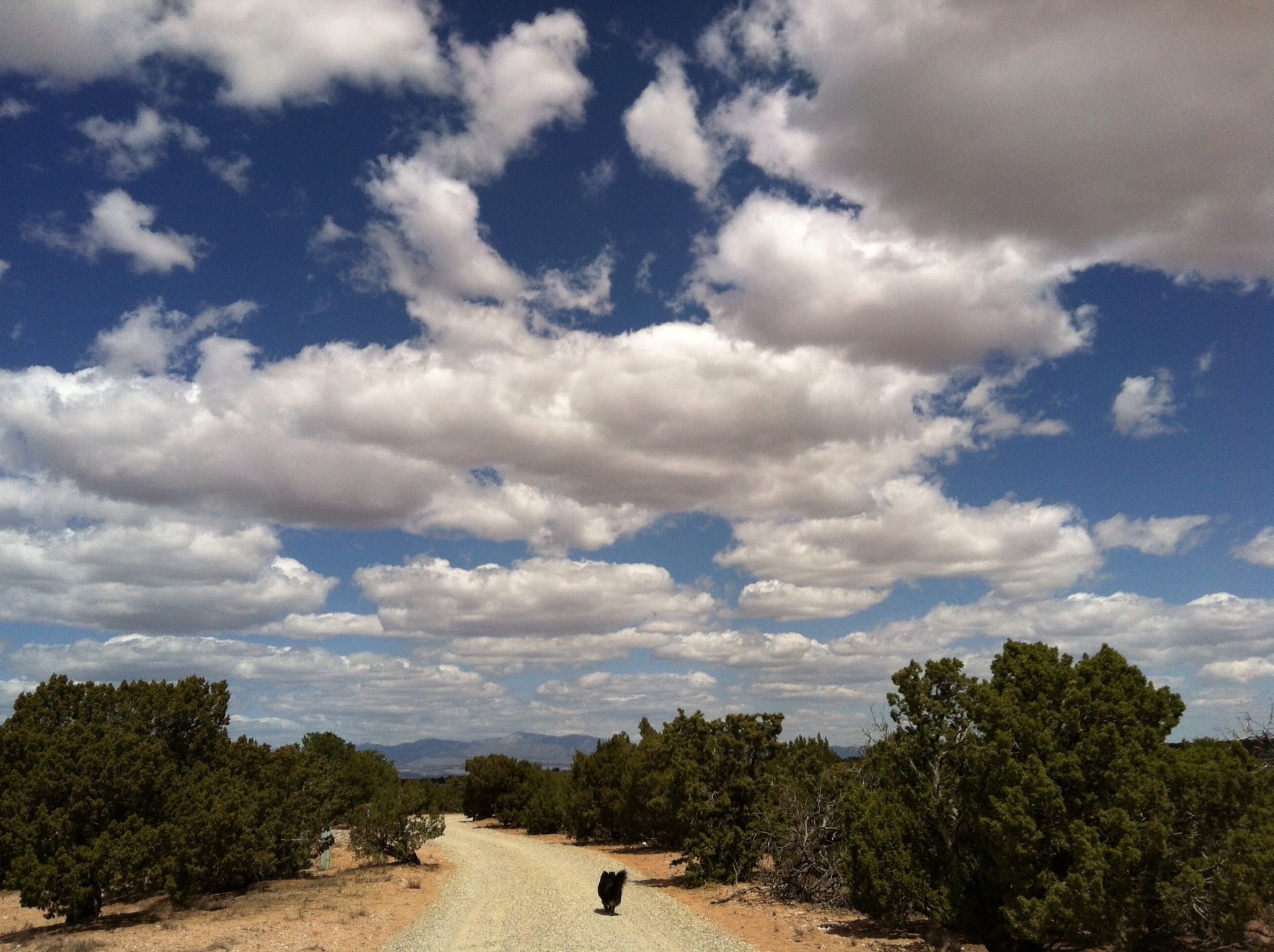 Santa Fe High Desert Solitude & Mtn Views! Bungalows for Rent in