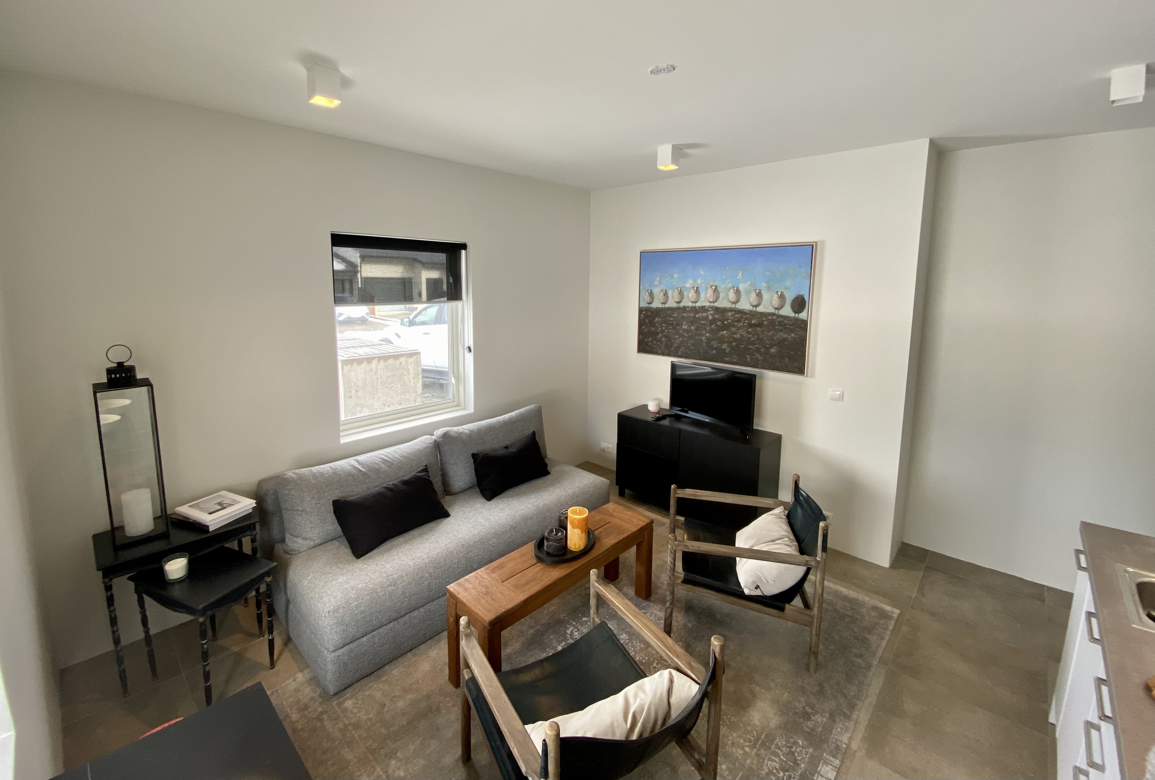 Cosy Modern Apartment in Reykjavik Suburb Gardabær