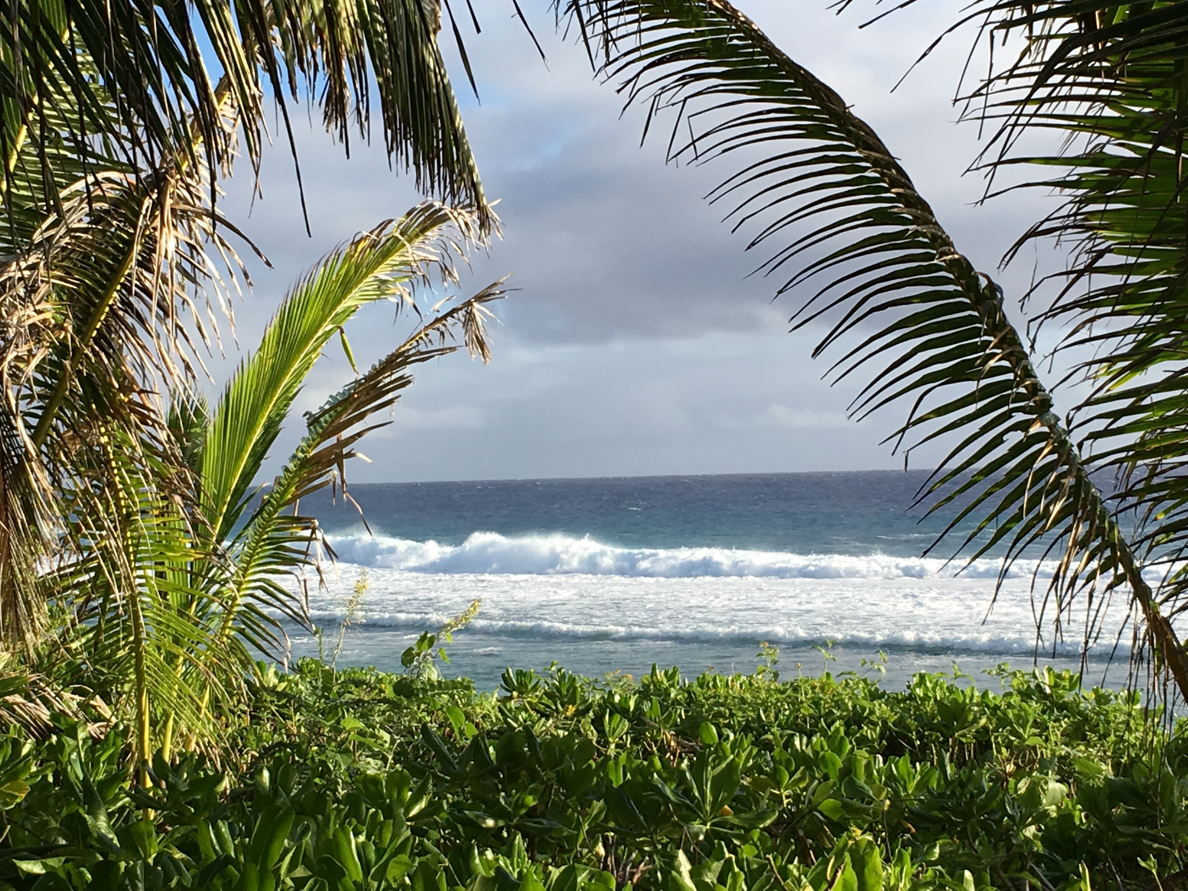 White surf , ocean views & a handy location.....