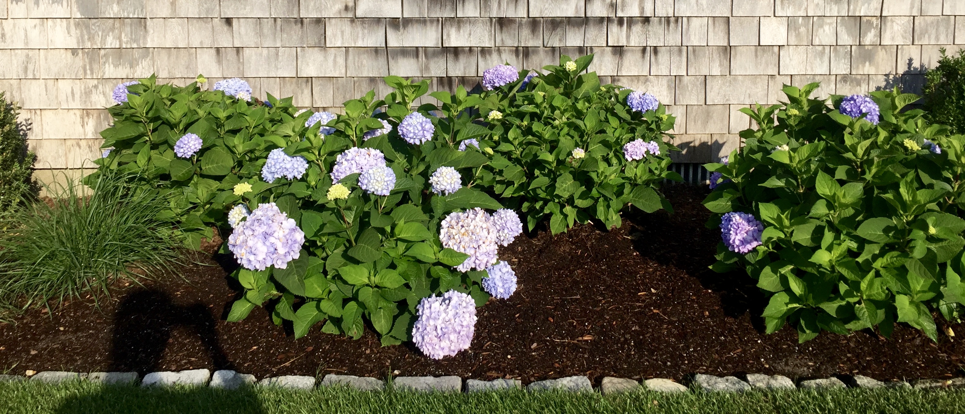 Private Beach House in Surfside Houses for Rent in Nantucket