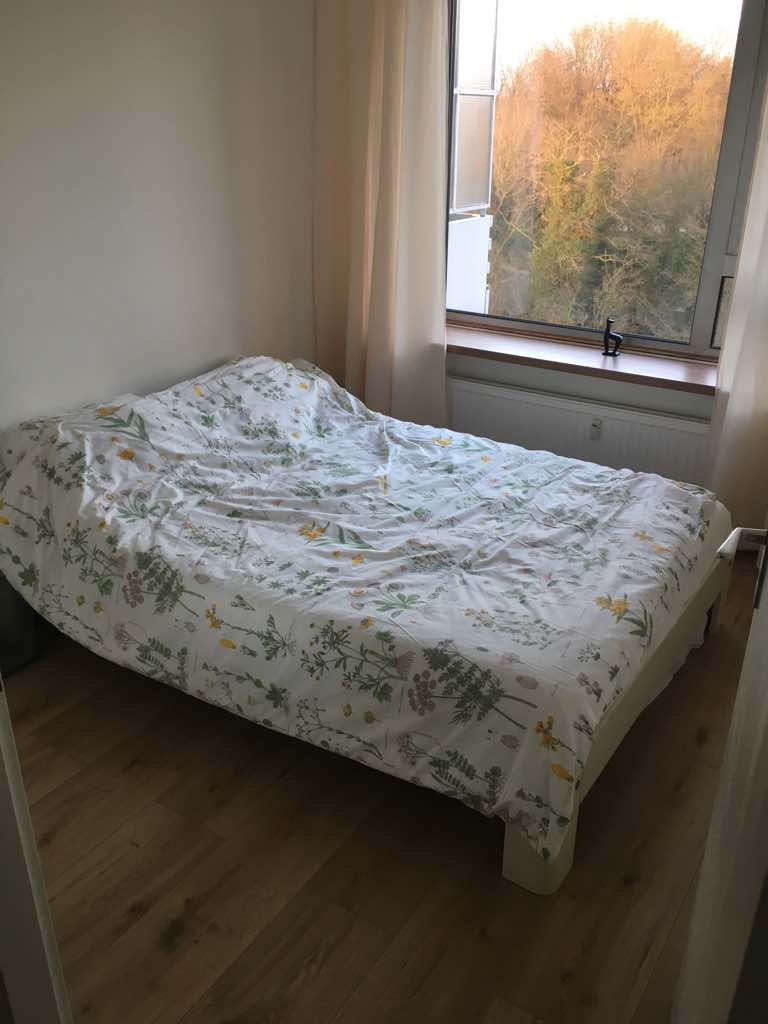 Cosy room in spacious apartment — Amsterdam stay