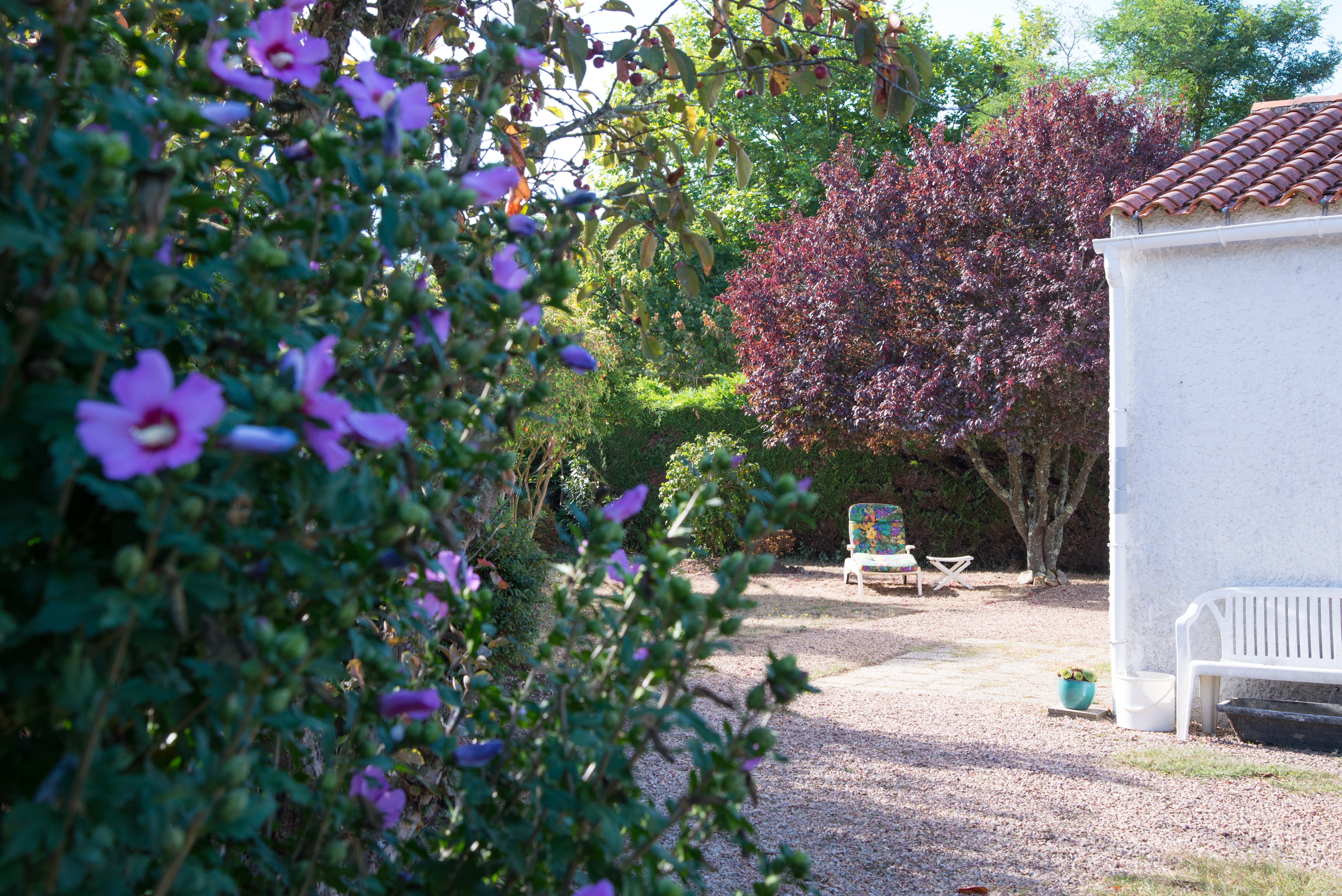 4* Furnished house by Le Veillon beach