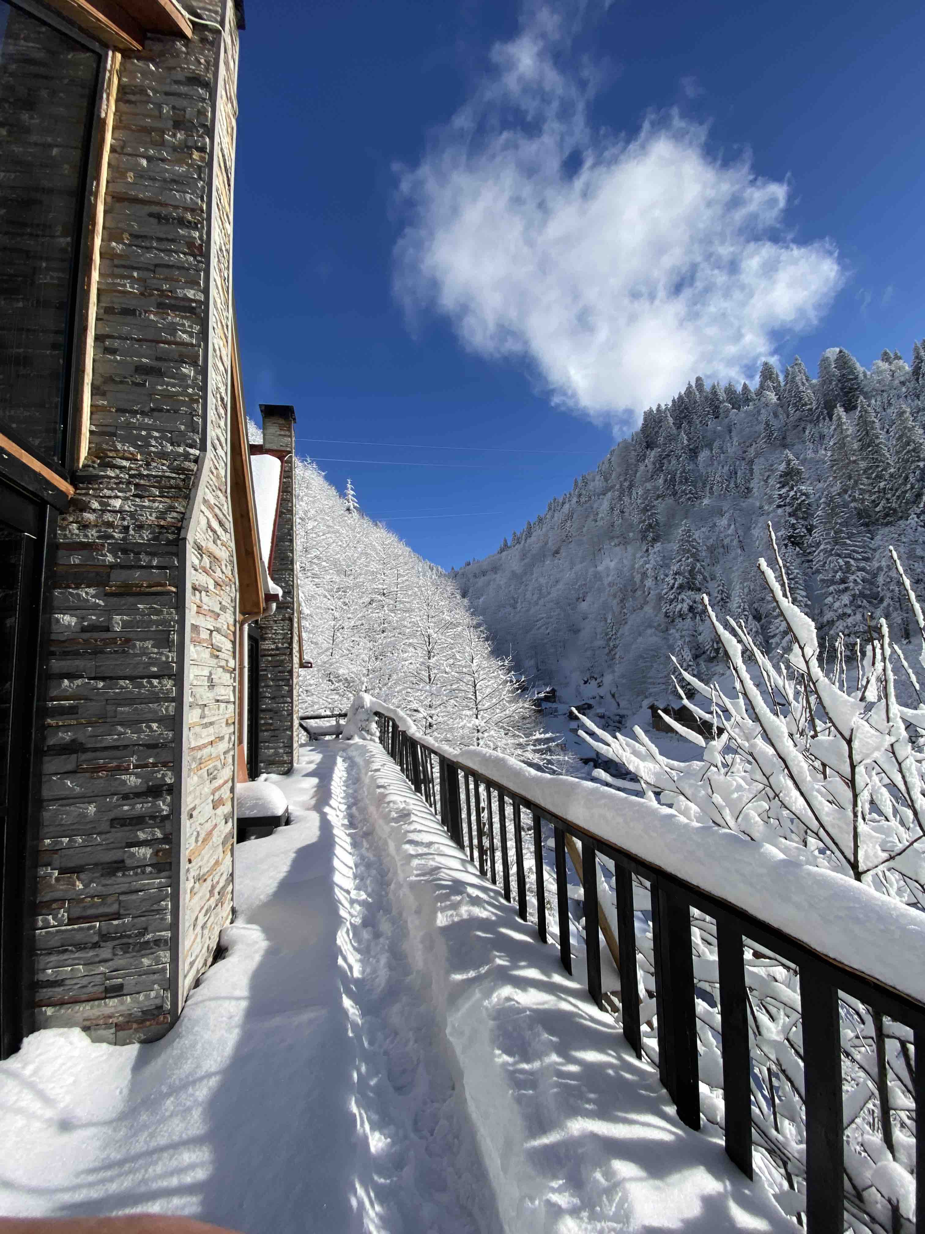 Ayder Alinoğlu dağ evi Airbnb