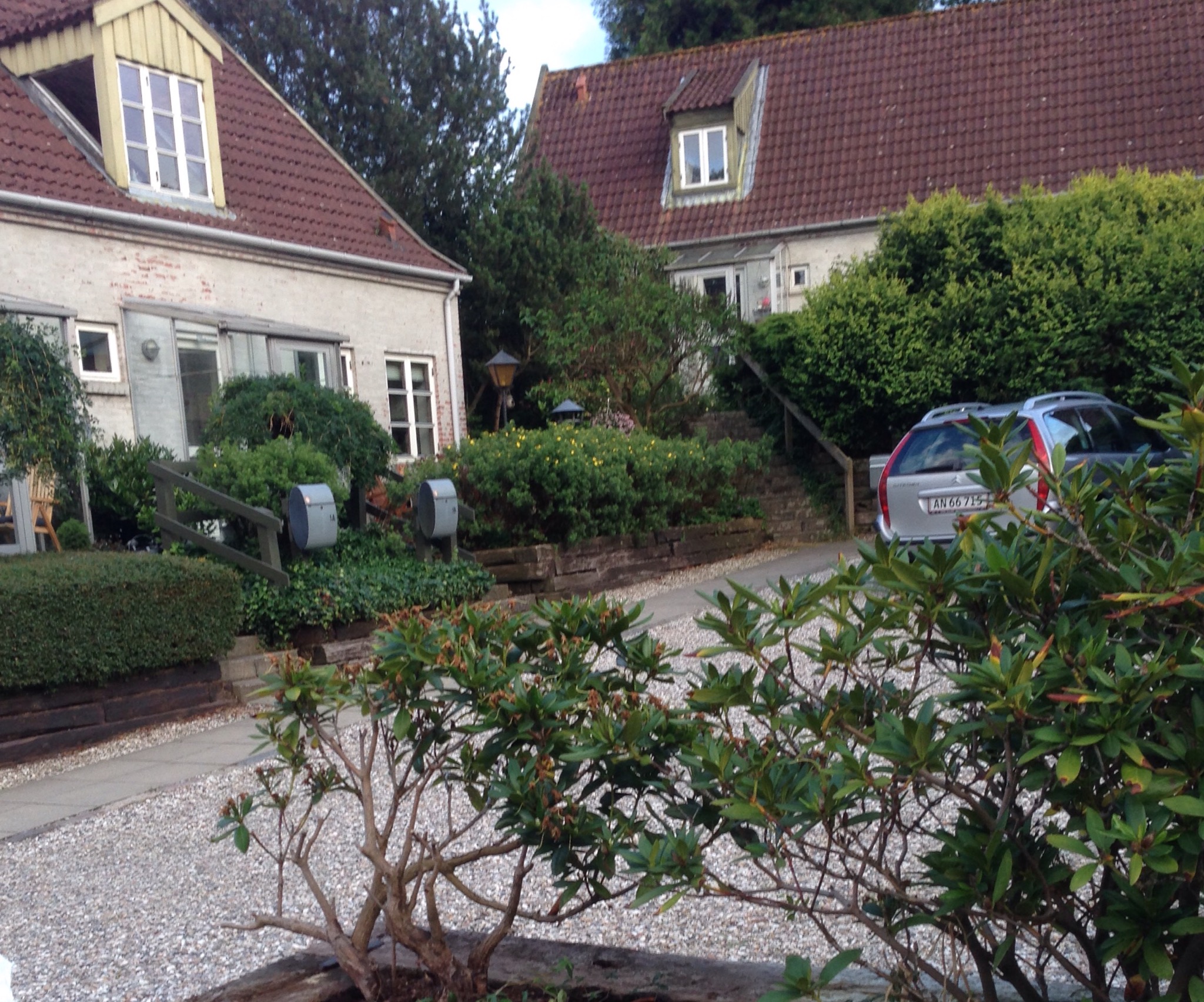 House close to city, forest and beach