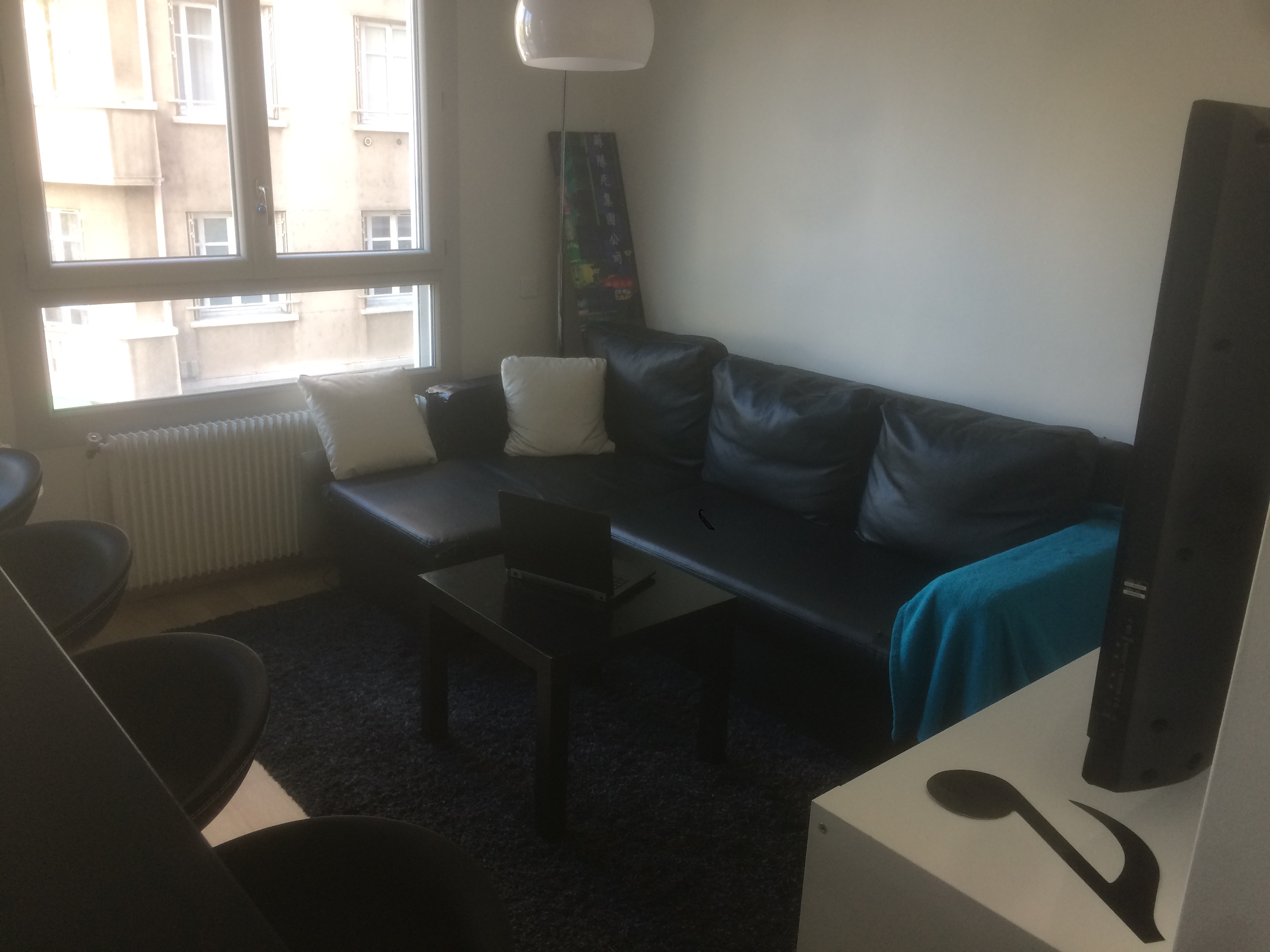 Lyon 7 : appartement agréable proche métro in 7e Arrondissement, Lyon