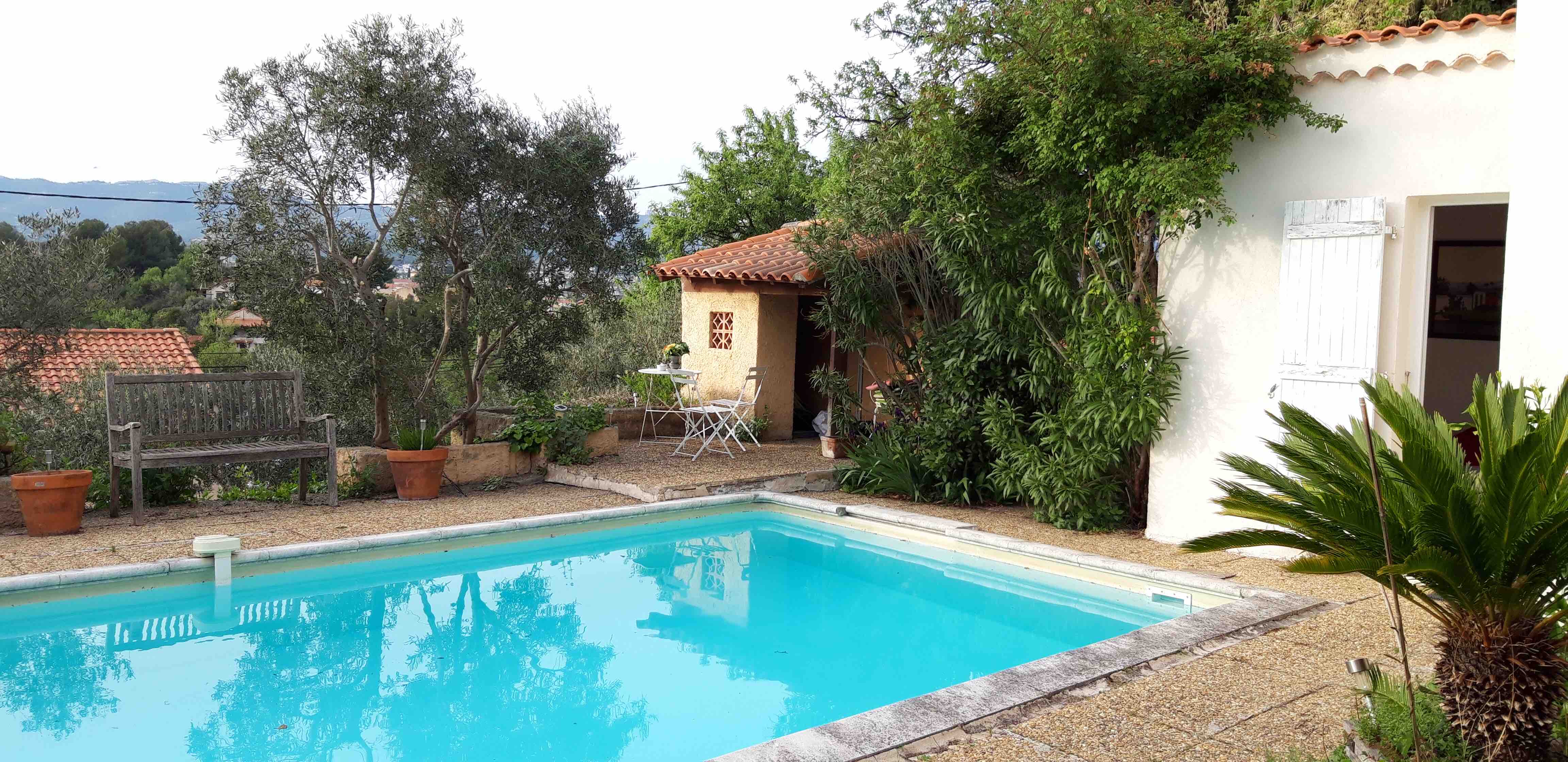 Pool & Hilly Studio