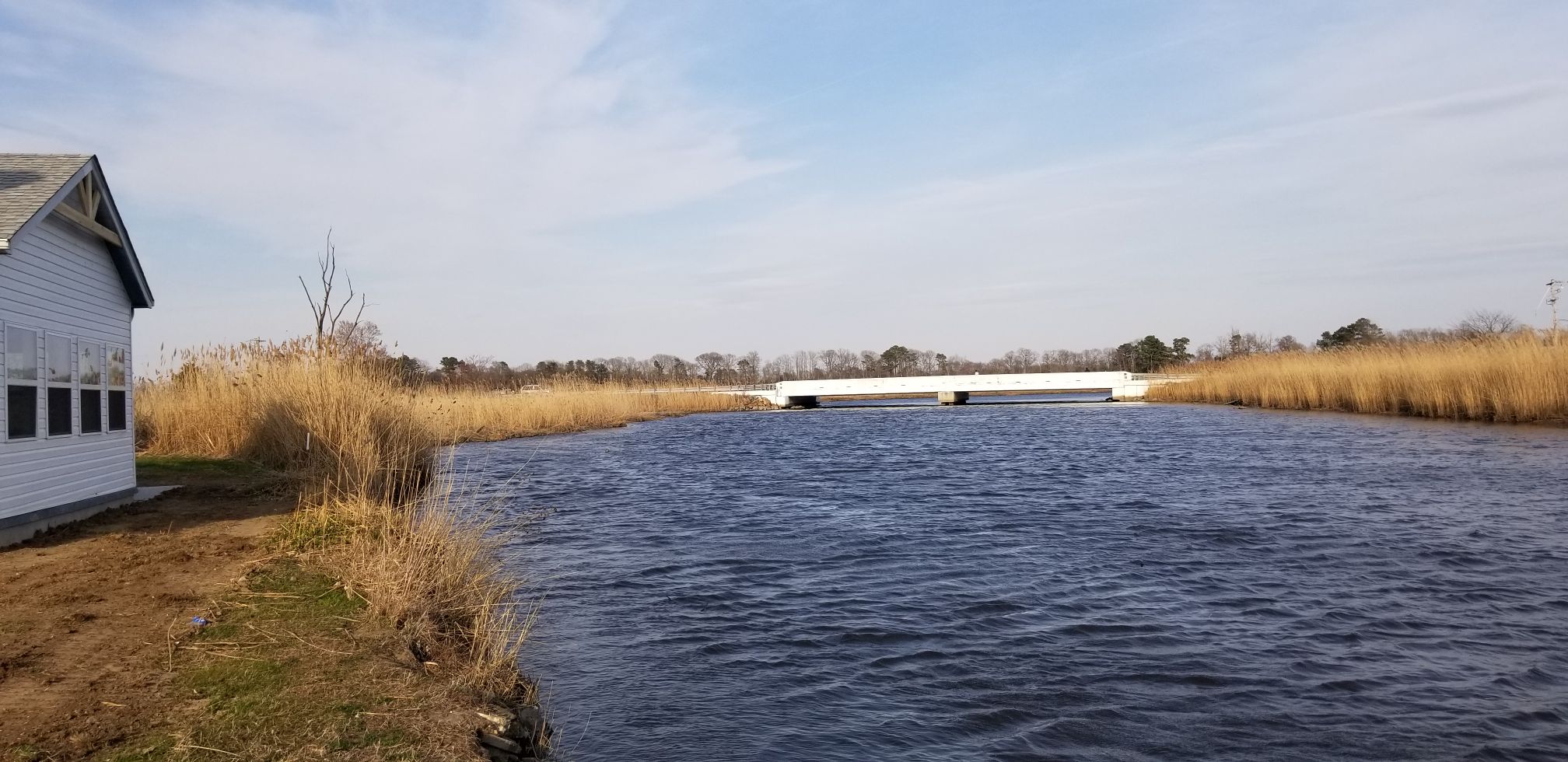 THE RIVERHOUSE DE TURF Houses for Rent in Frederica, Delaware