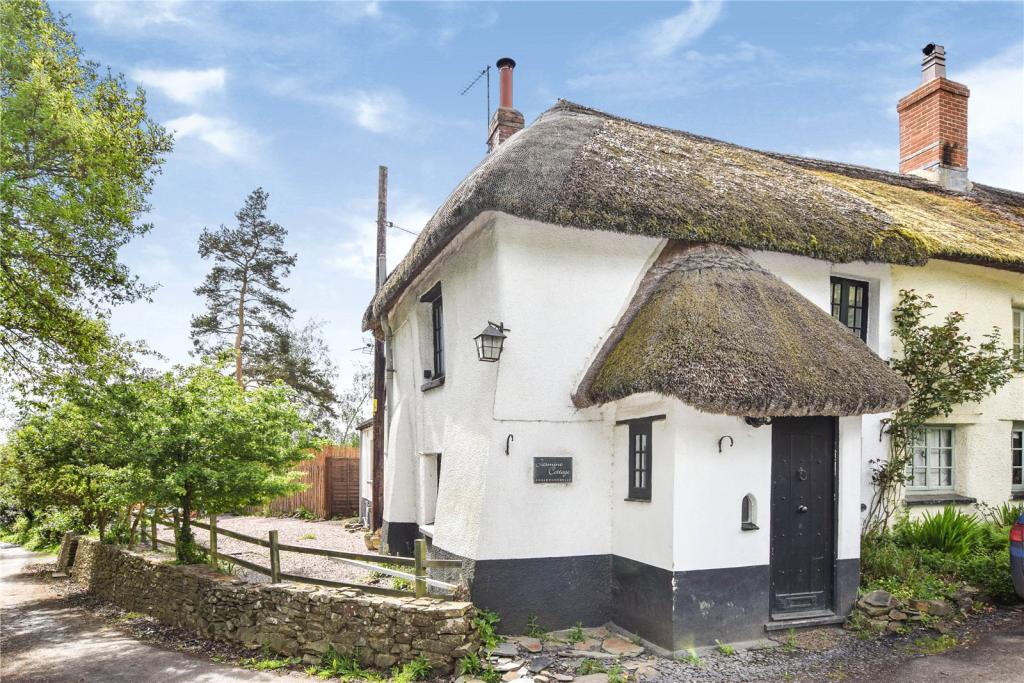 Chocolate box Cottage in the heart of Devon - Cottages for Rent in