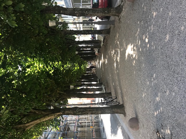 Feel-good oasis in the center of Baden Baden